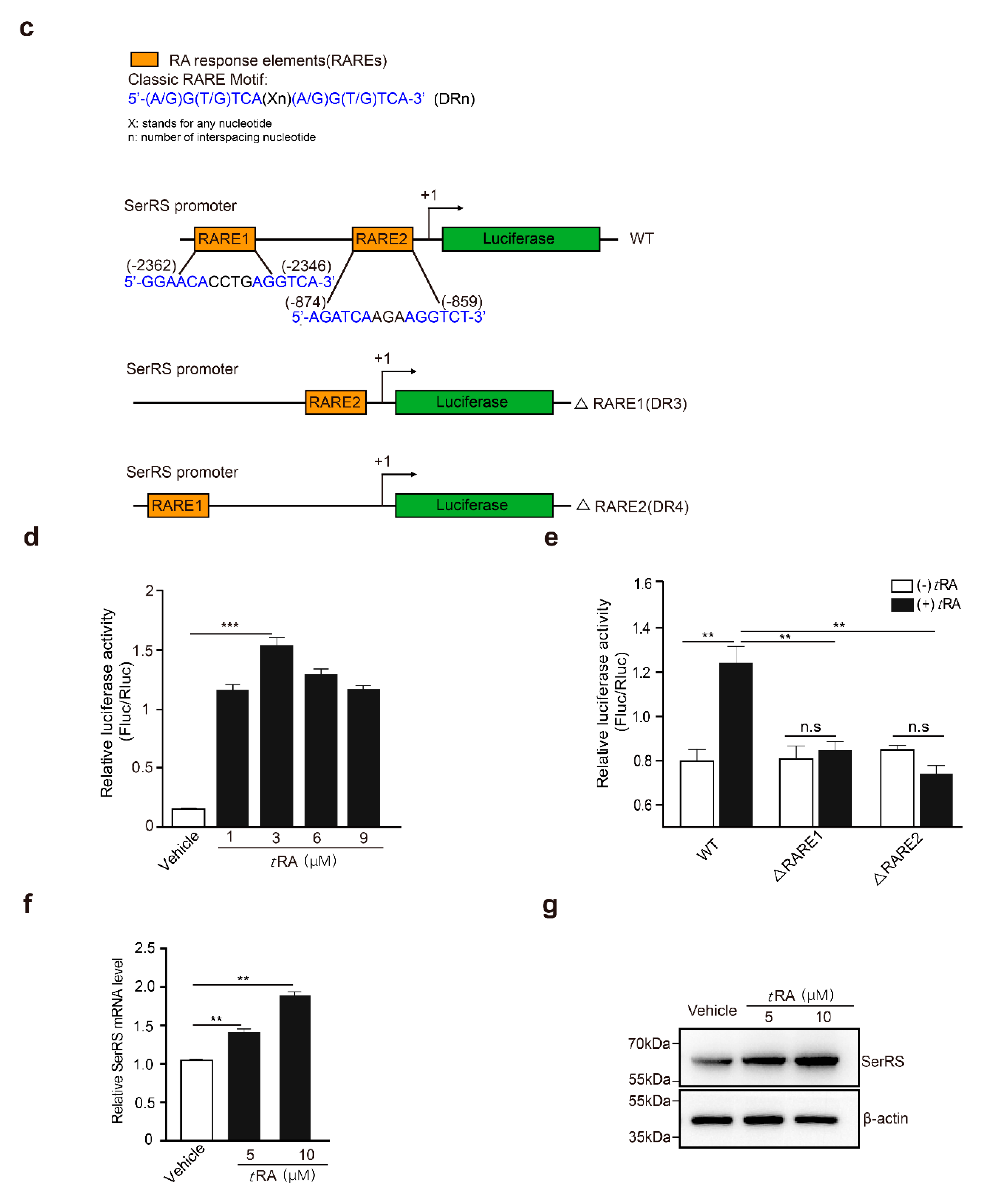 Cancers 11 01847 g002b Cancers 11 01847 g002b