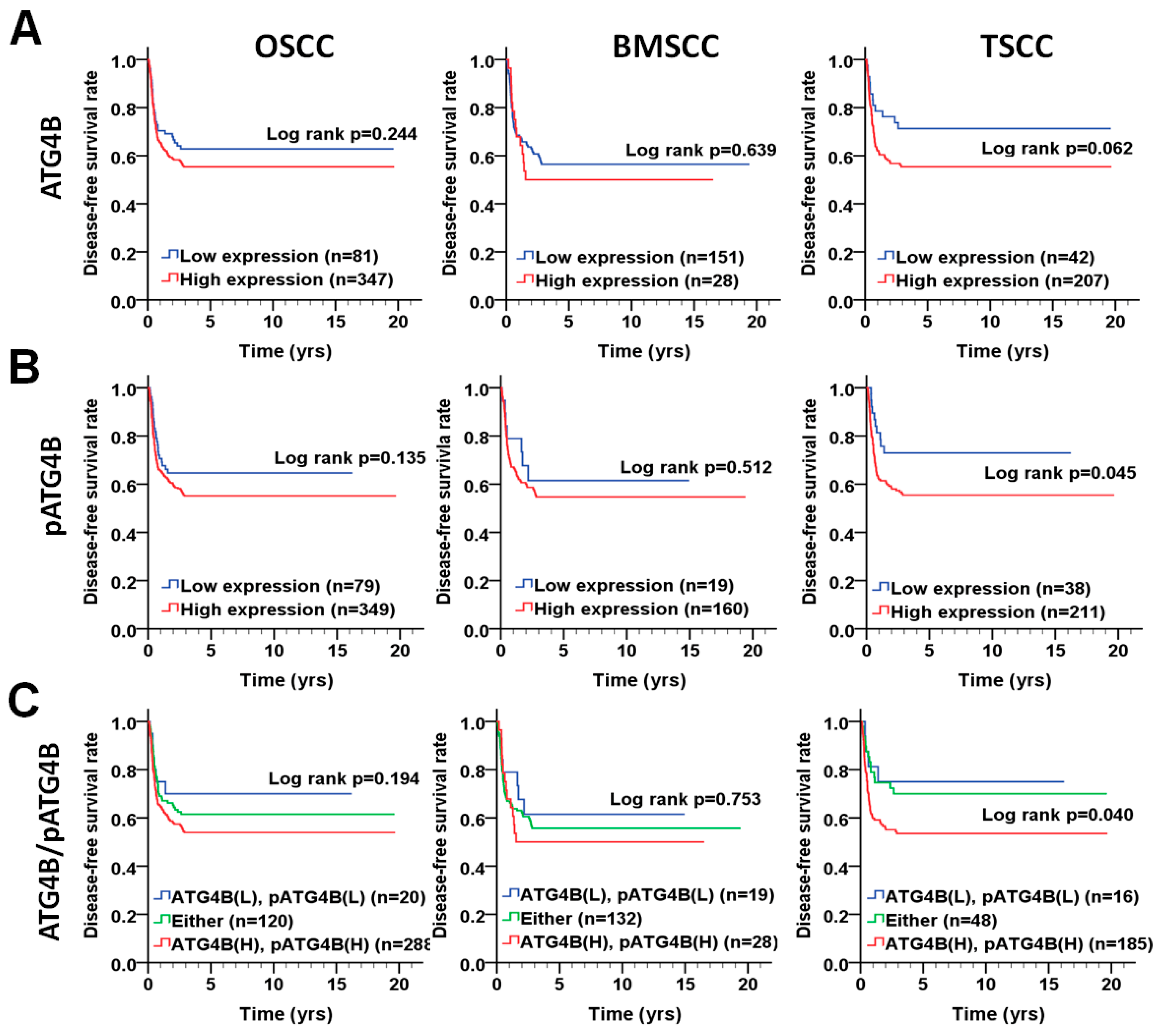 Cancers 11 01854 g004
