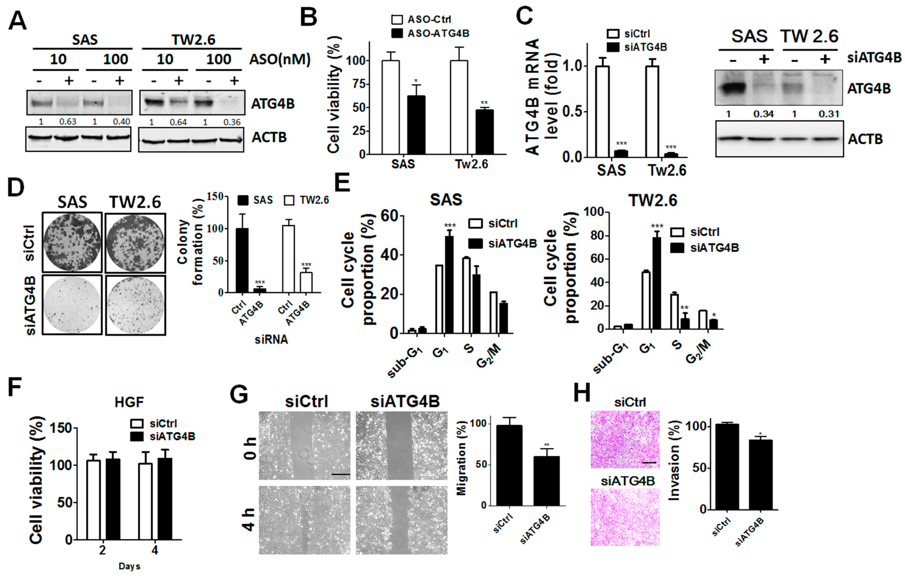 Cancers 11 01854 g005