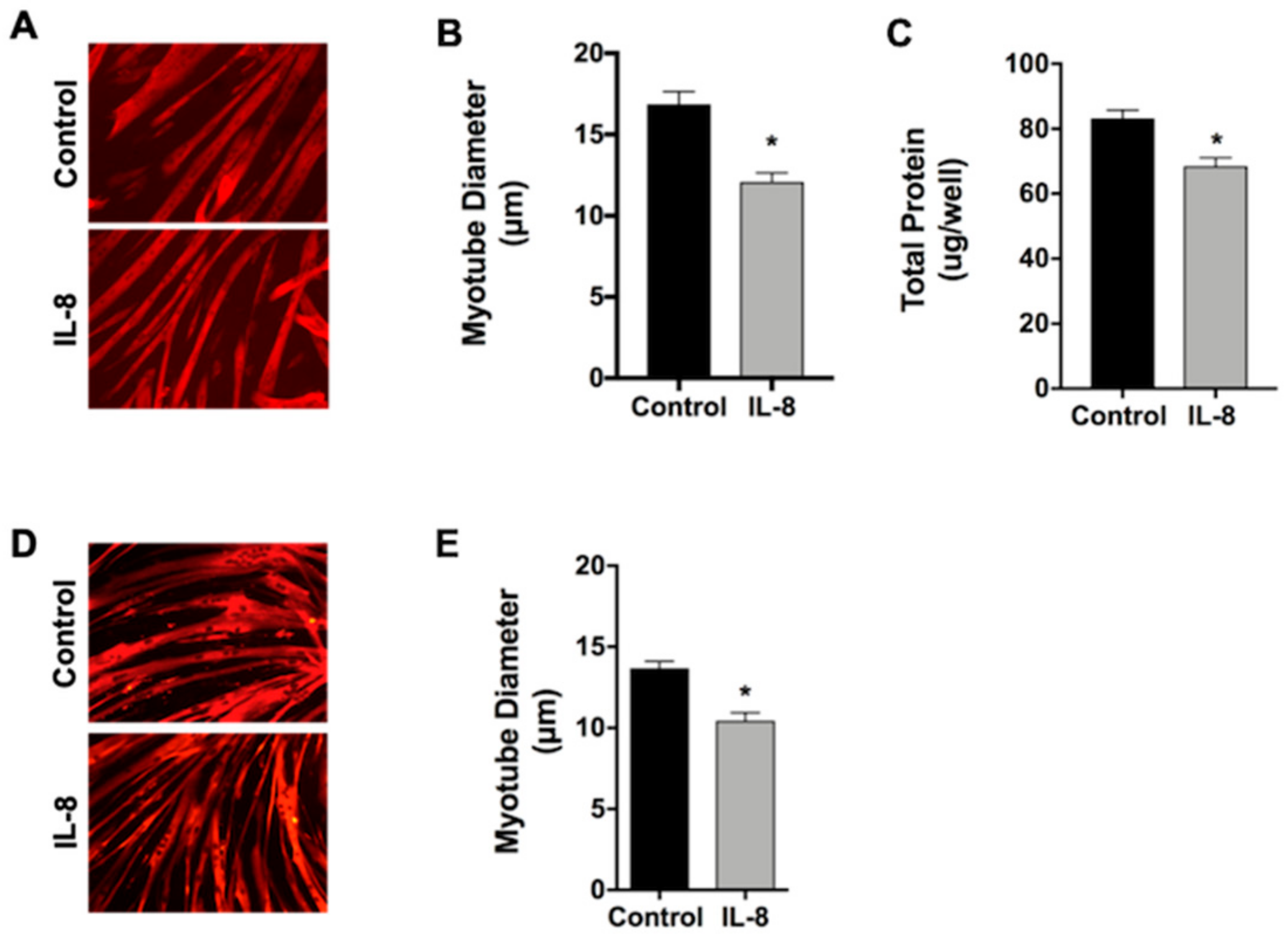 Cancers 11 01863 g002 Cancers 11 01863 g002