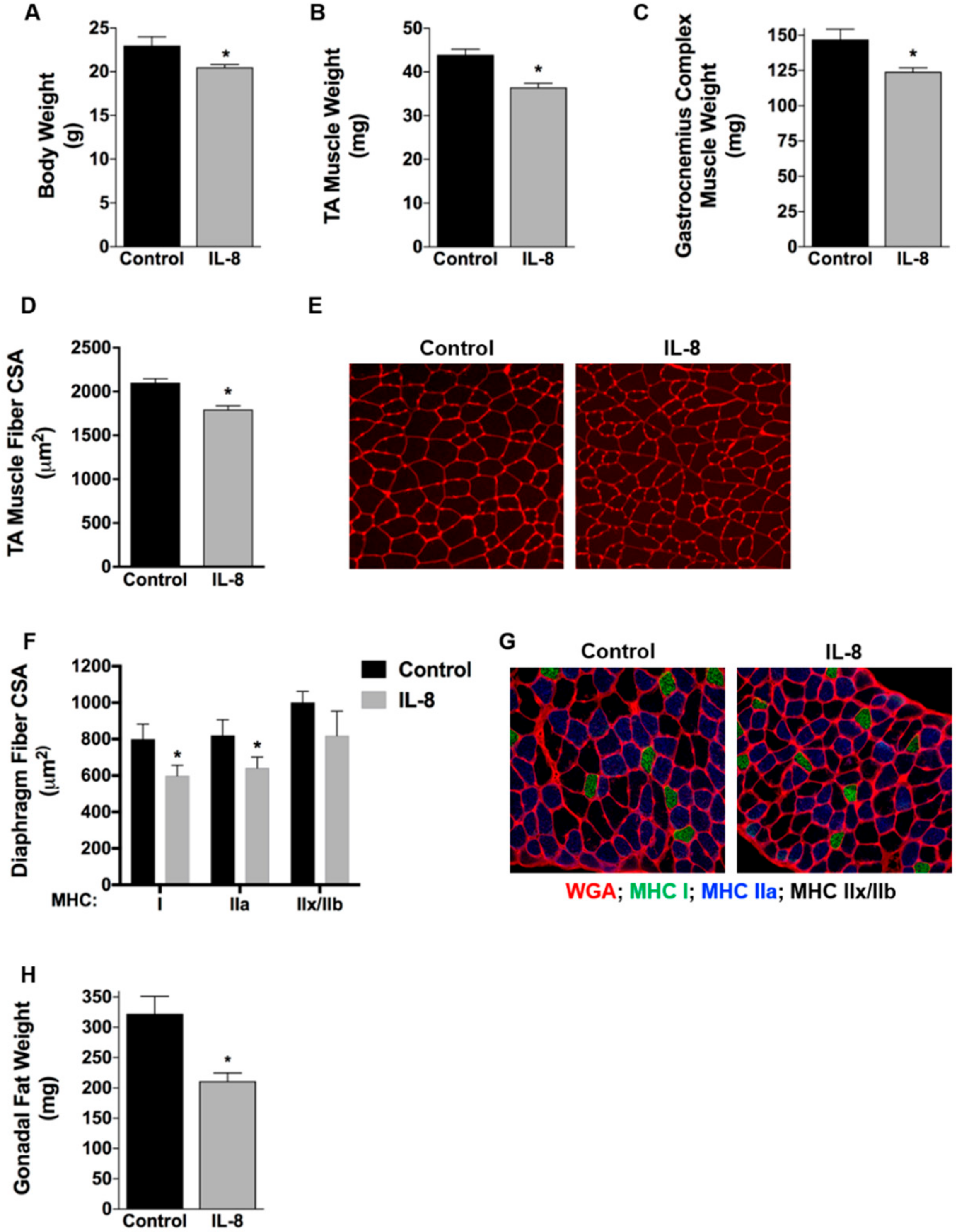 Cancers 11 01863 g003 Cancers 11 01863 g003