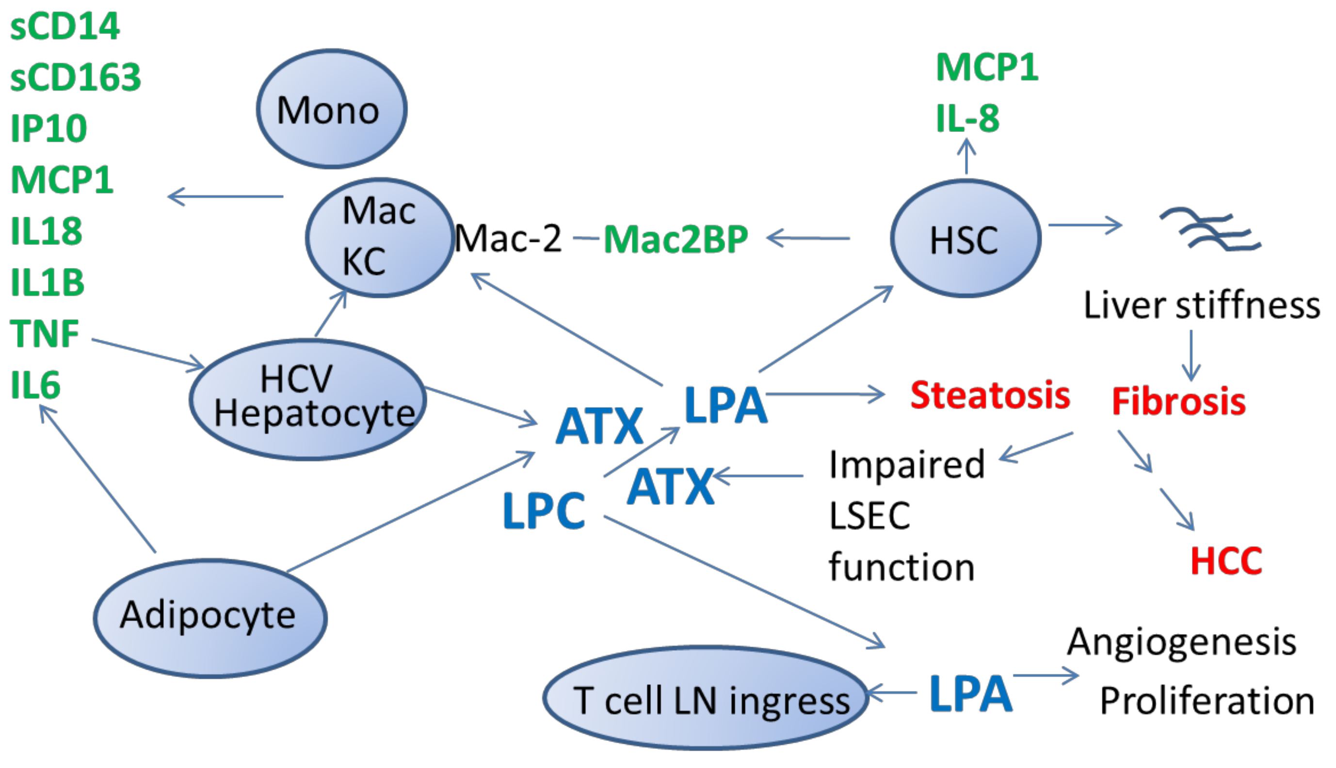 Cancers 11 01867 g001 Cancers 11 01867 g001