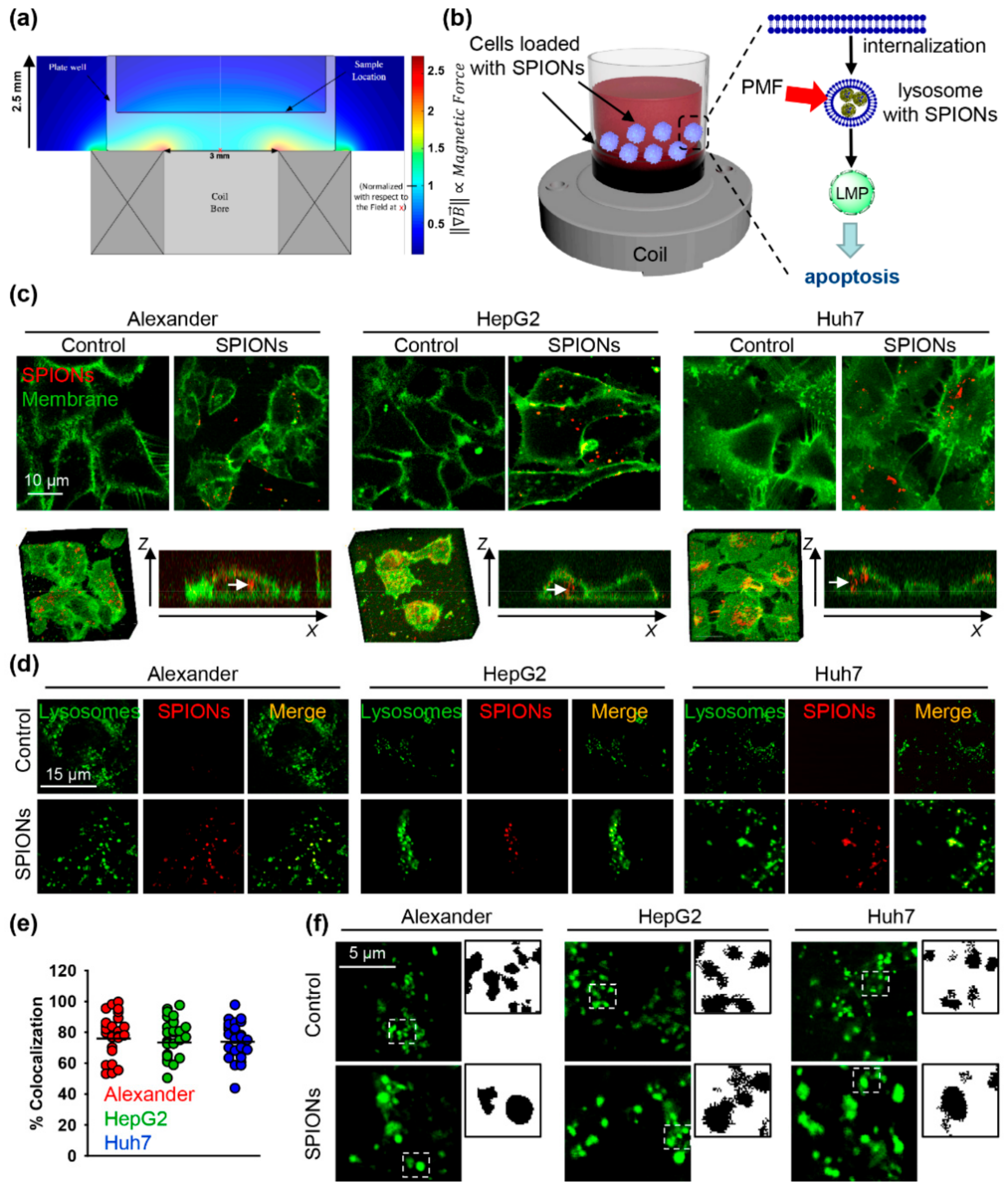 Cancers 11 01873 g001 Cancers 11 01873 g001