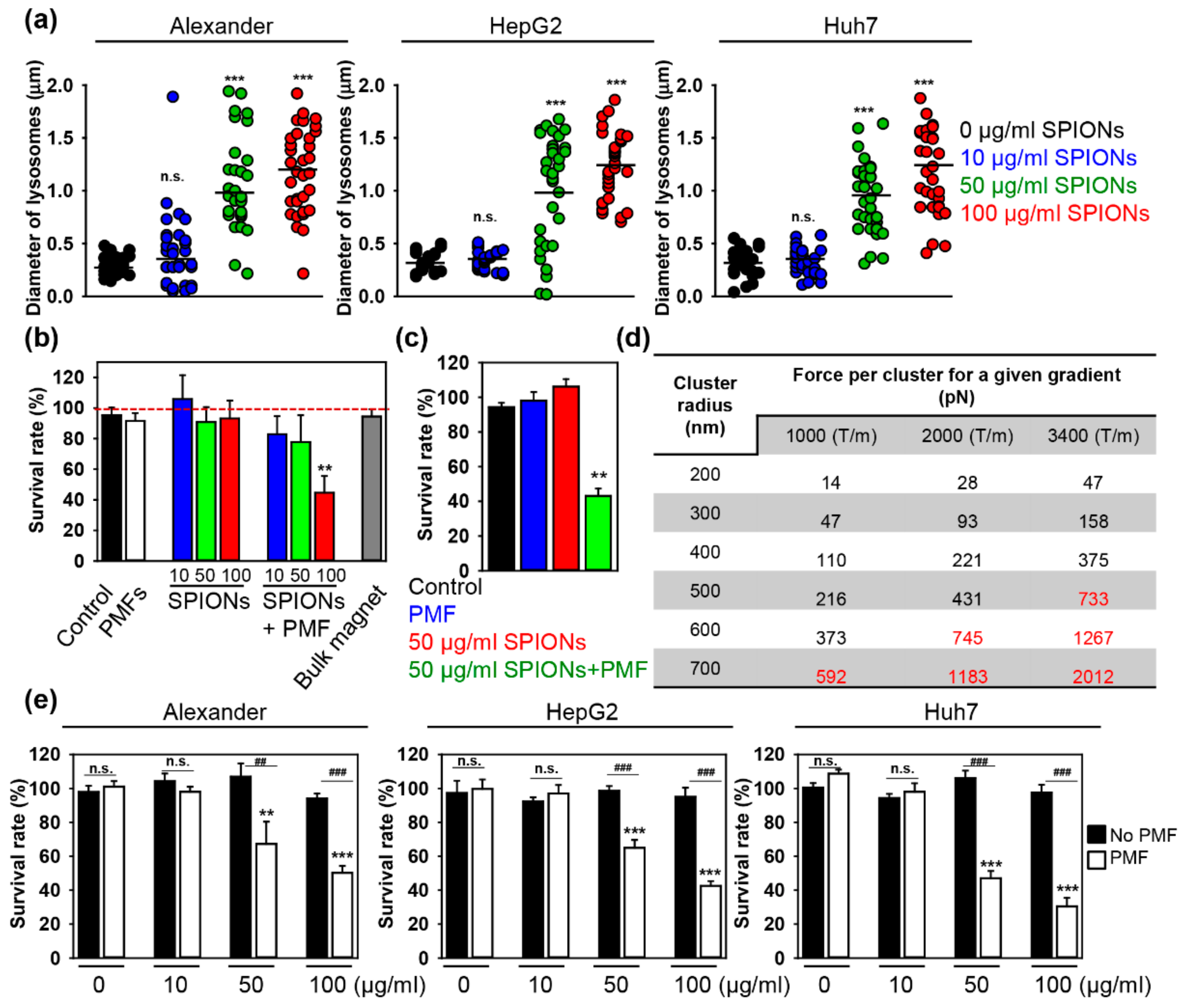 Cancers 11 01873 g002 Cancers 11 01873 g002