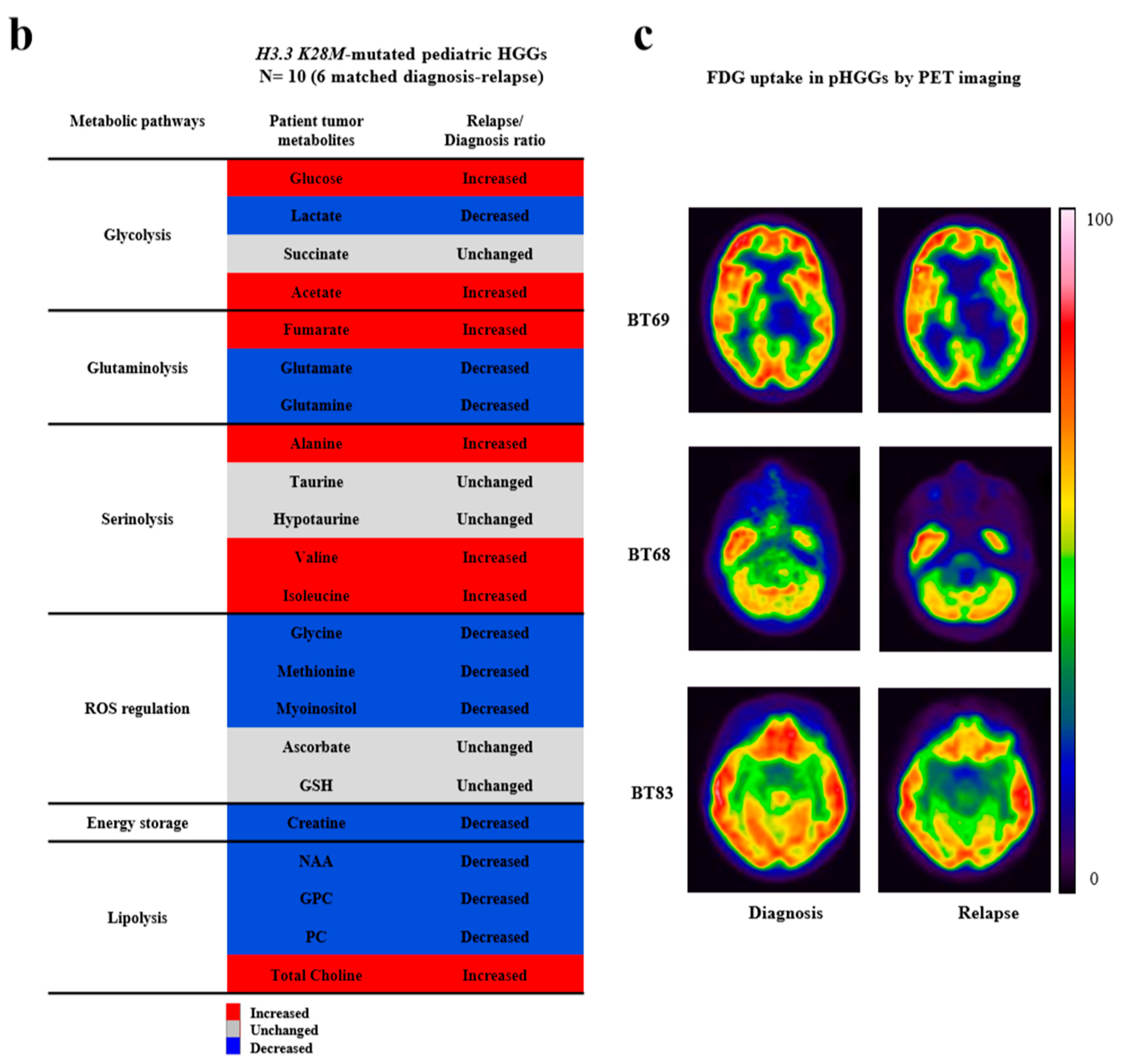 Cancers 11 01875 g002b