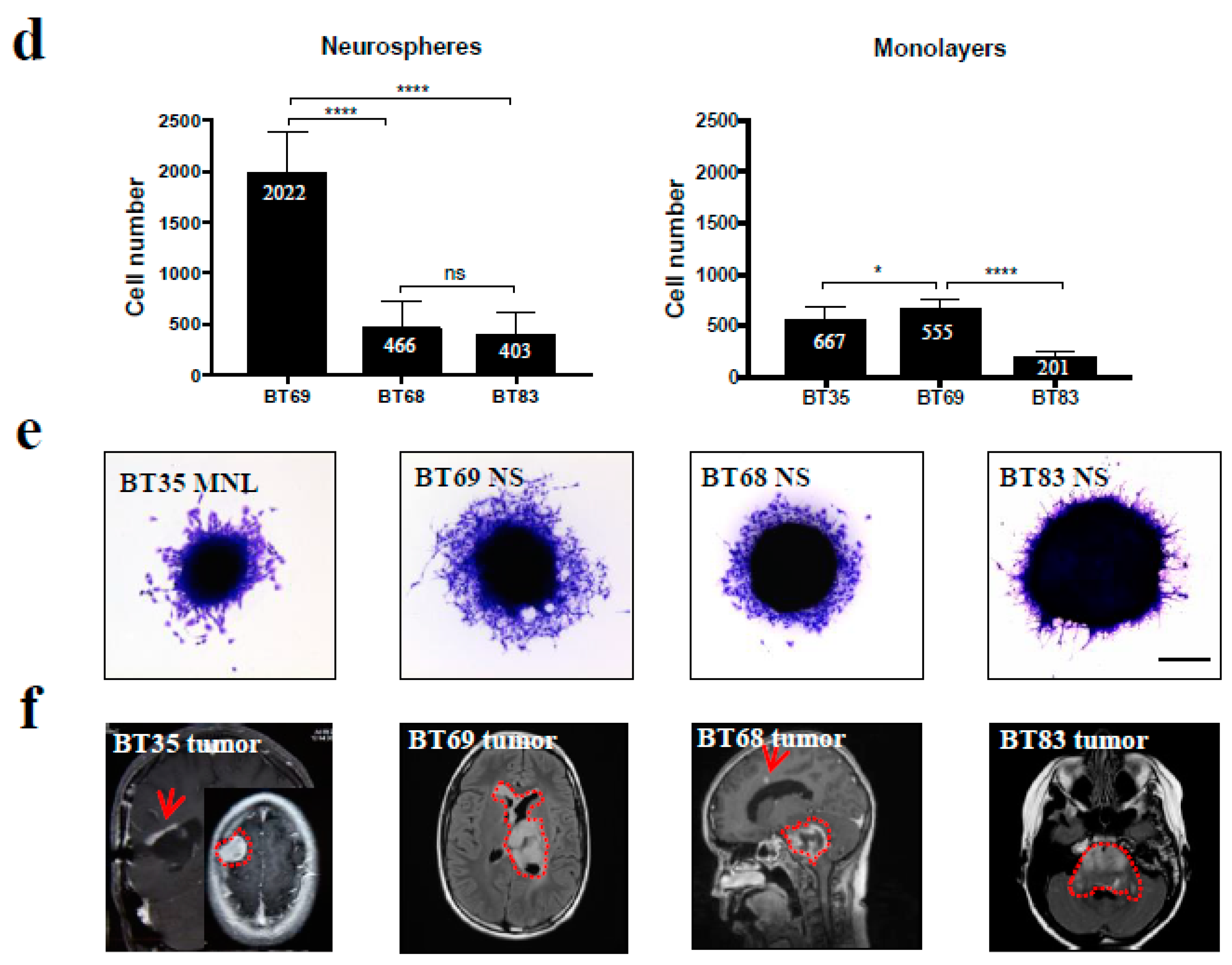 Cancers 11 01875 g003b