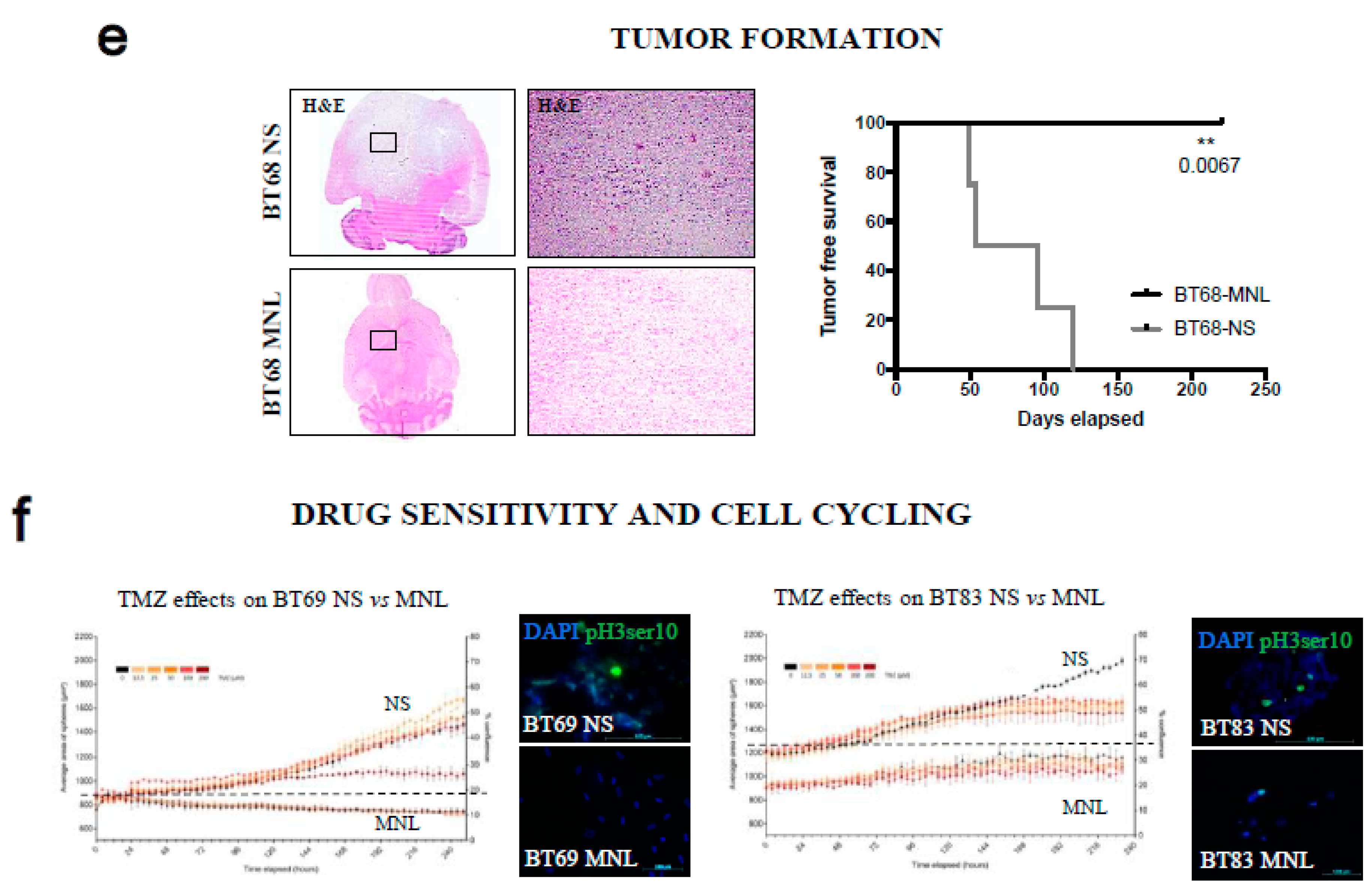 Cancers 11 01875 g004b