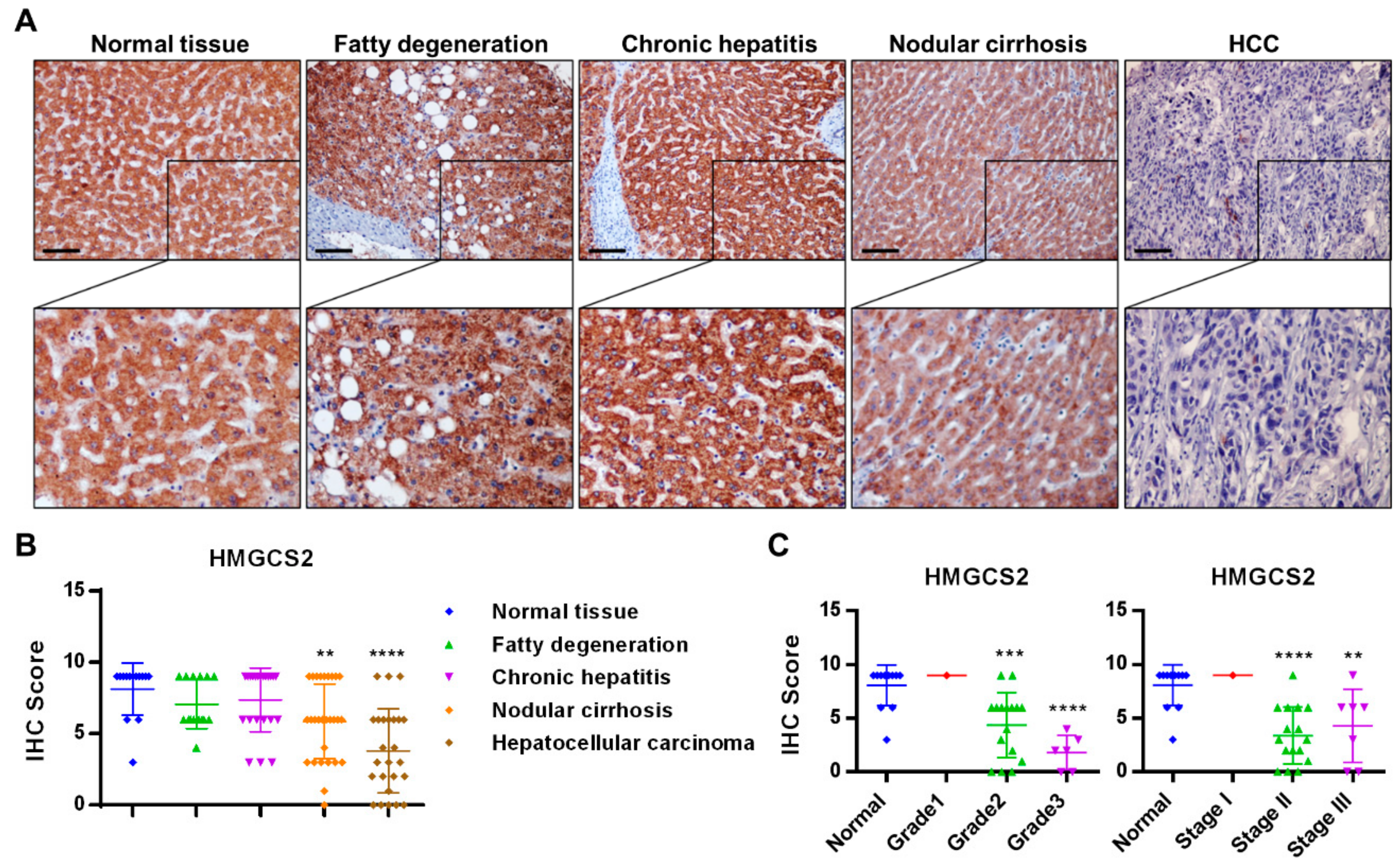 Cancers 11 01876 g001