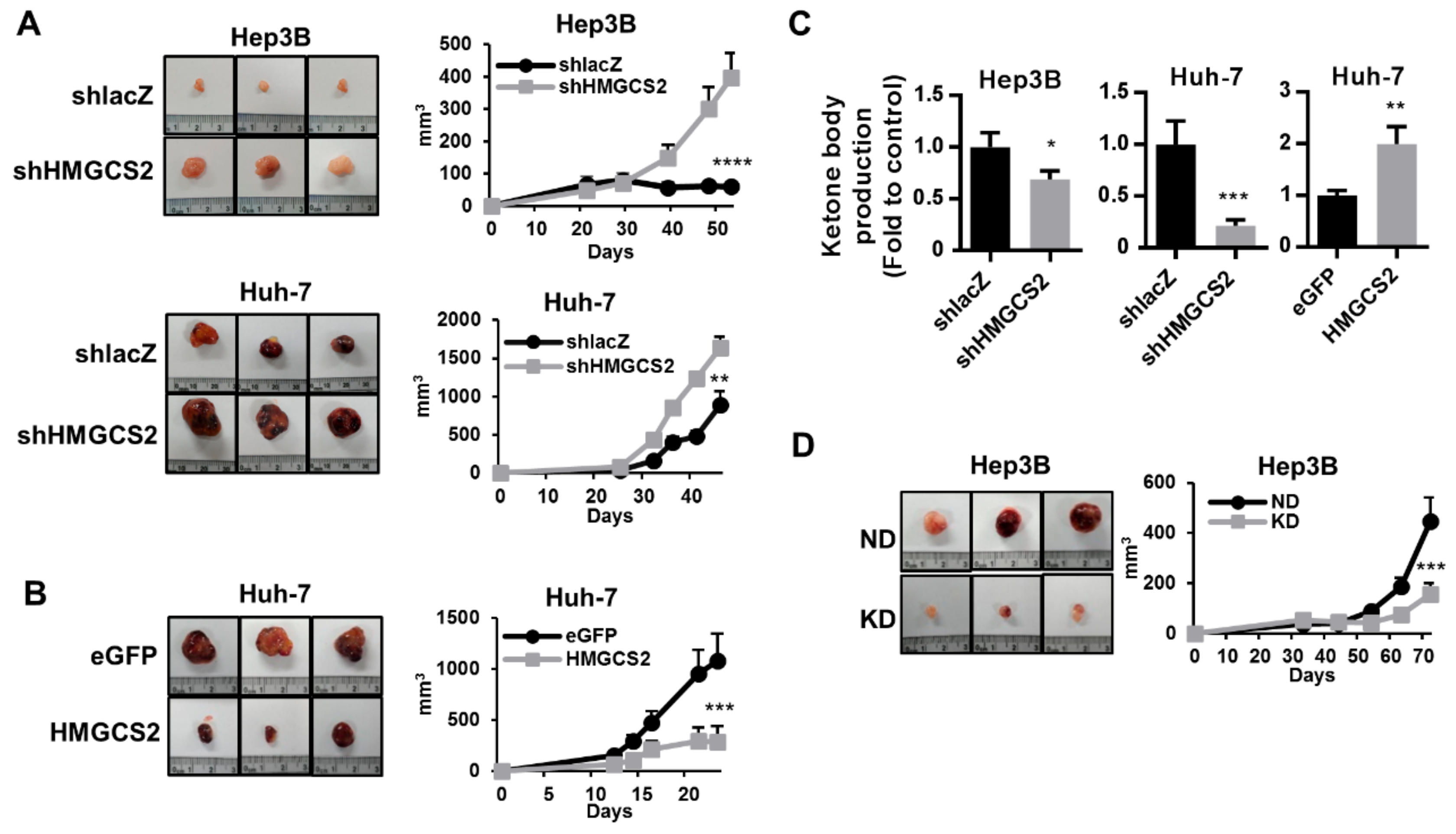 Cancers 11 01876 g008