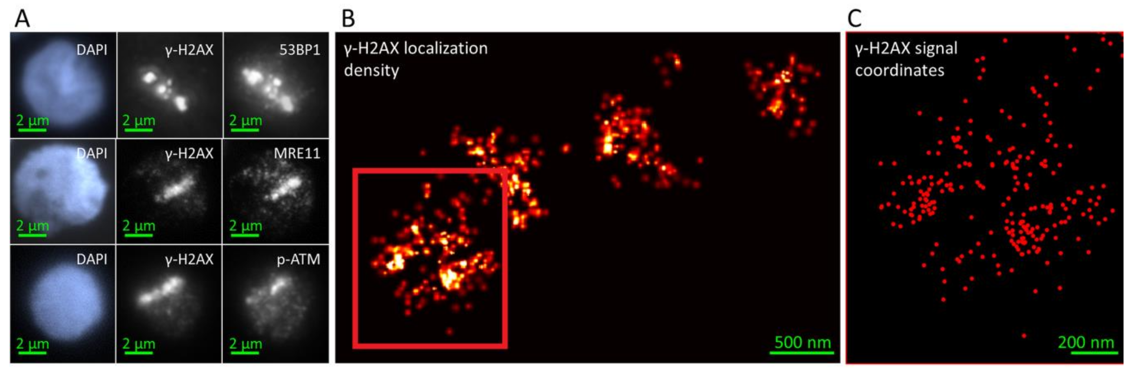 Cancers 11 01877 g001