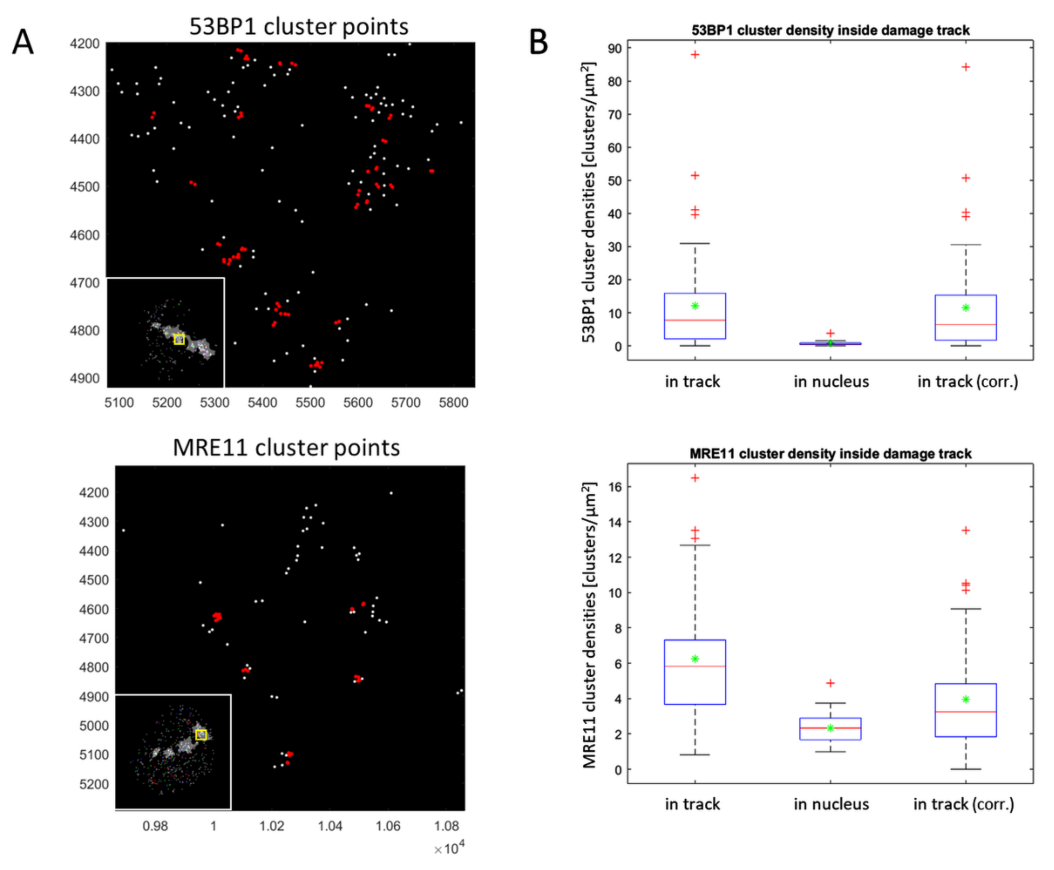 Cancers 11 01877 g007
