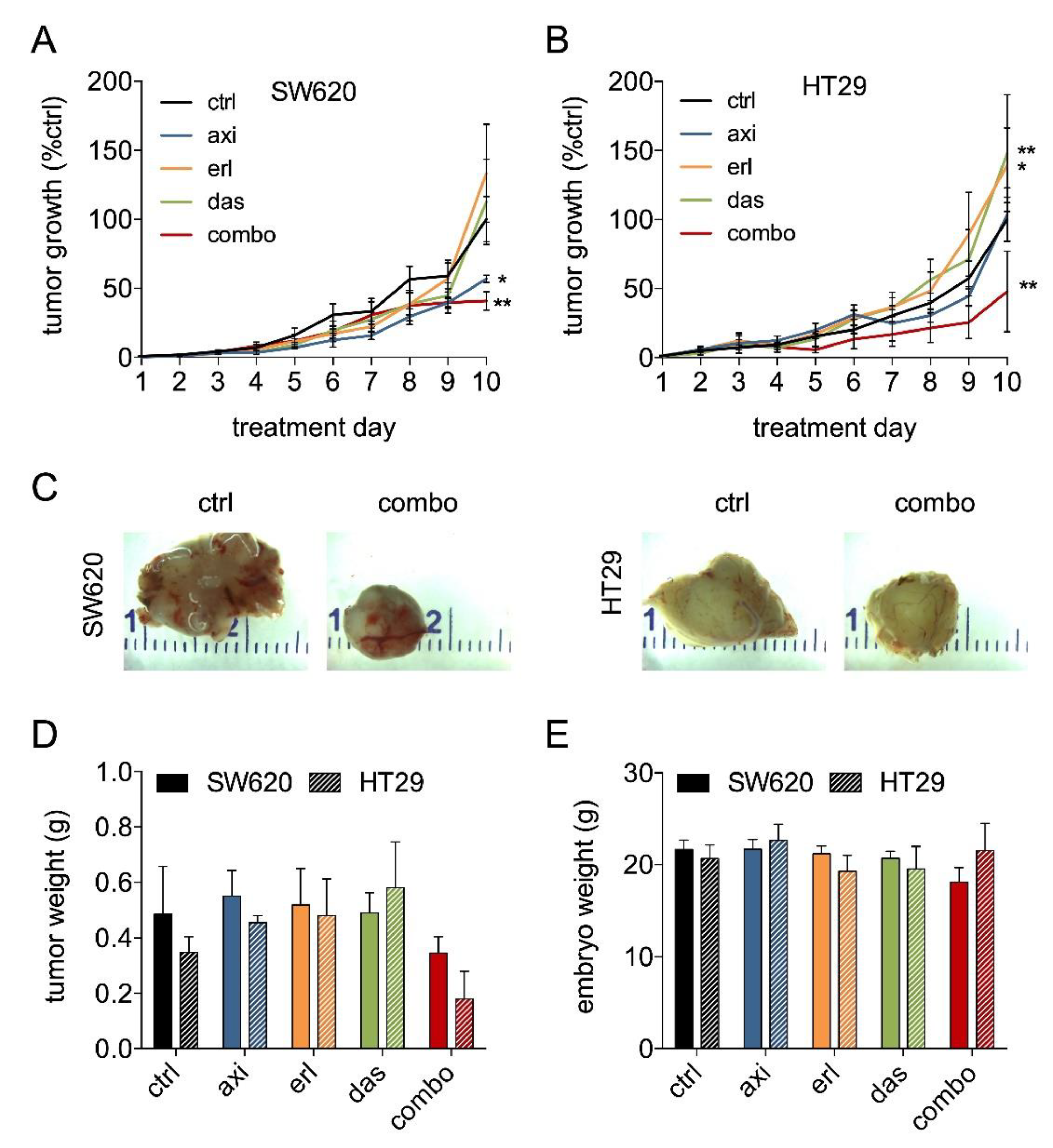 Cancers 11 01878 g005 Cancers 11 01878 g005
