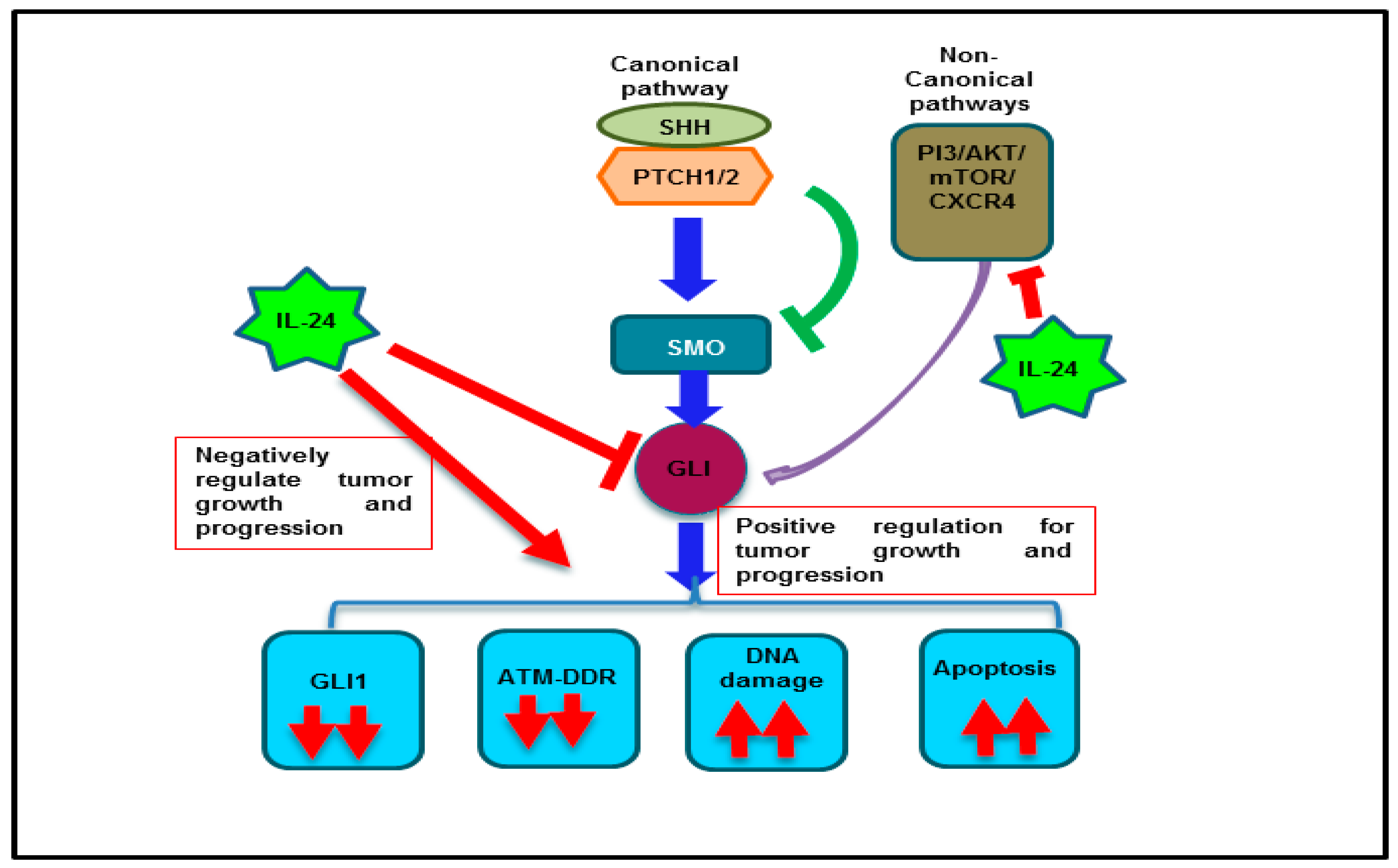 Cancers 11 01879 g008