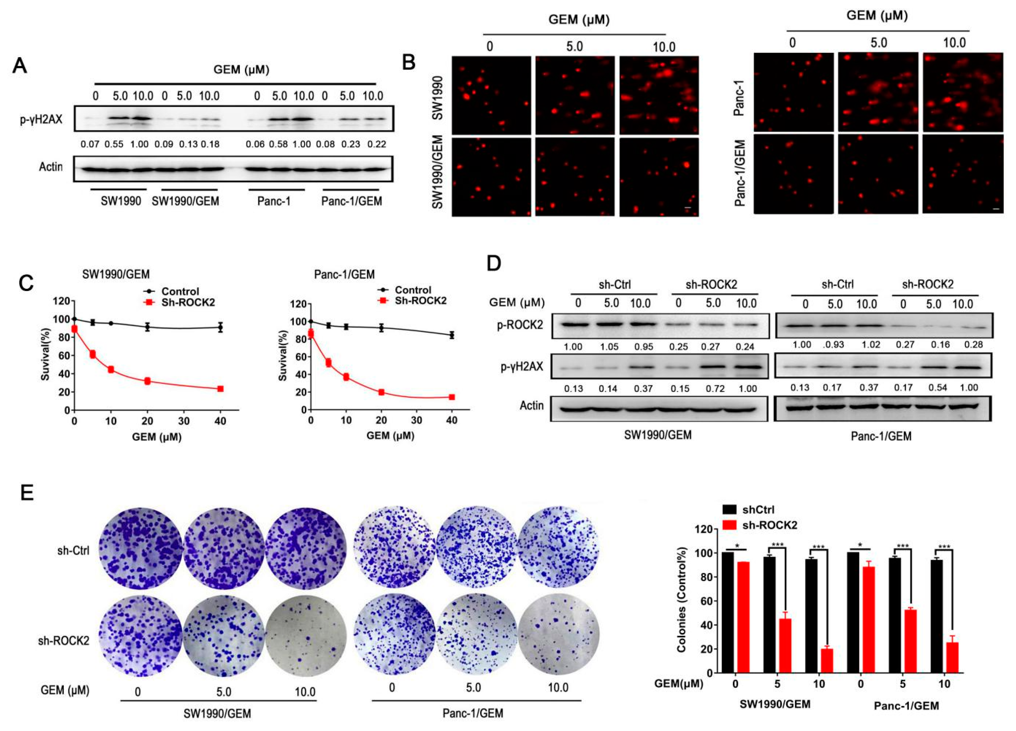 Cancers 11 01881 g002 Cancers 11 01881 g002