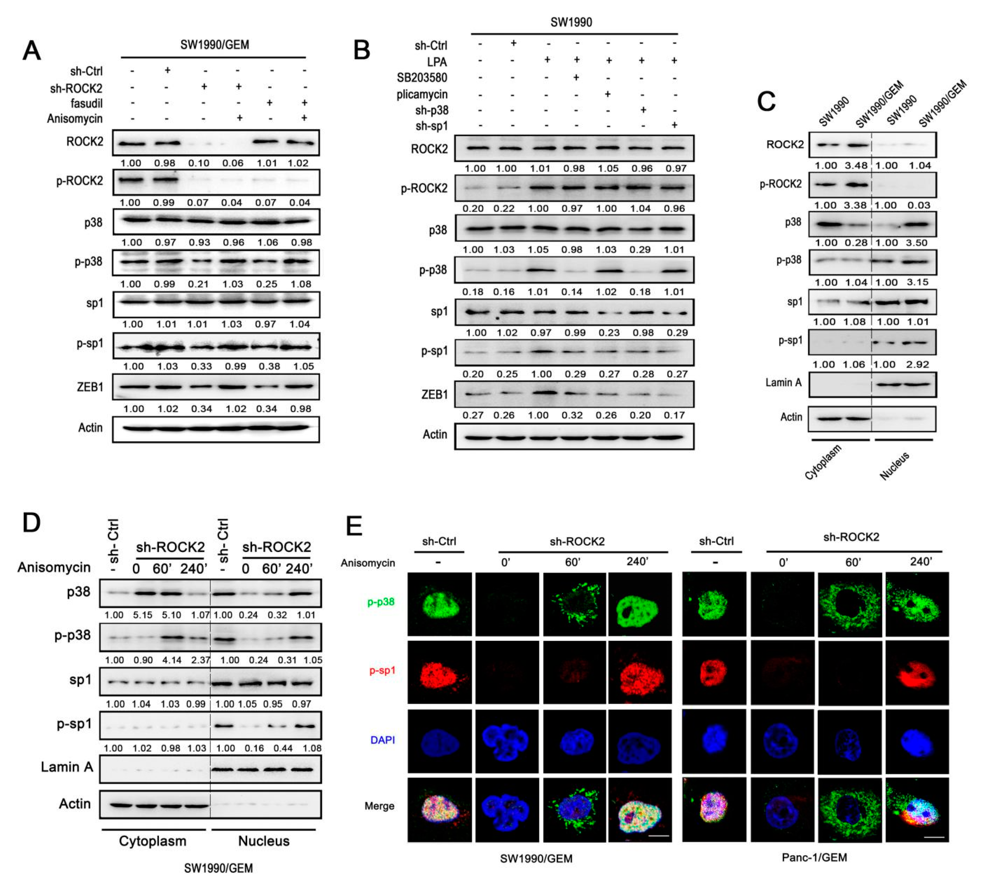Cancers 11 01881 g005 Cancers 11 01881 g005
