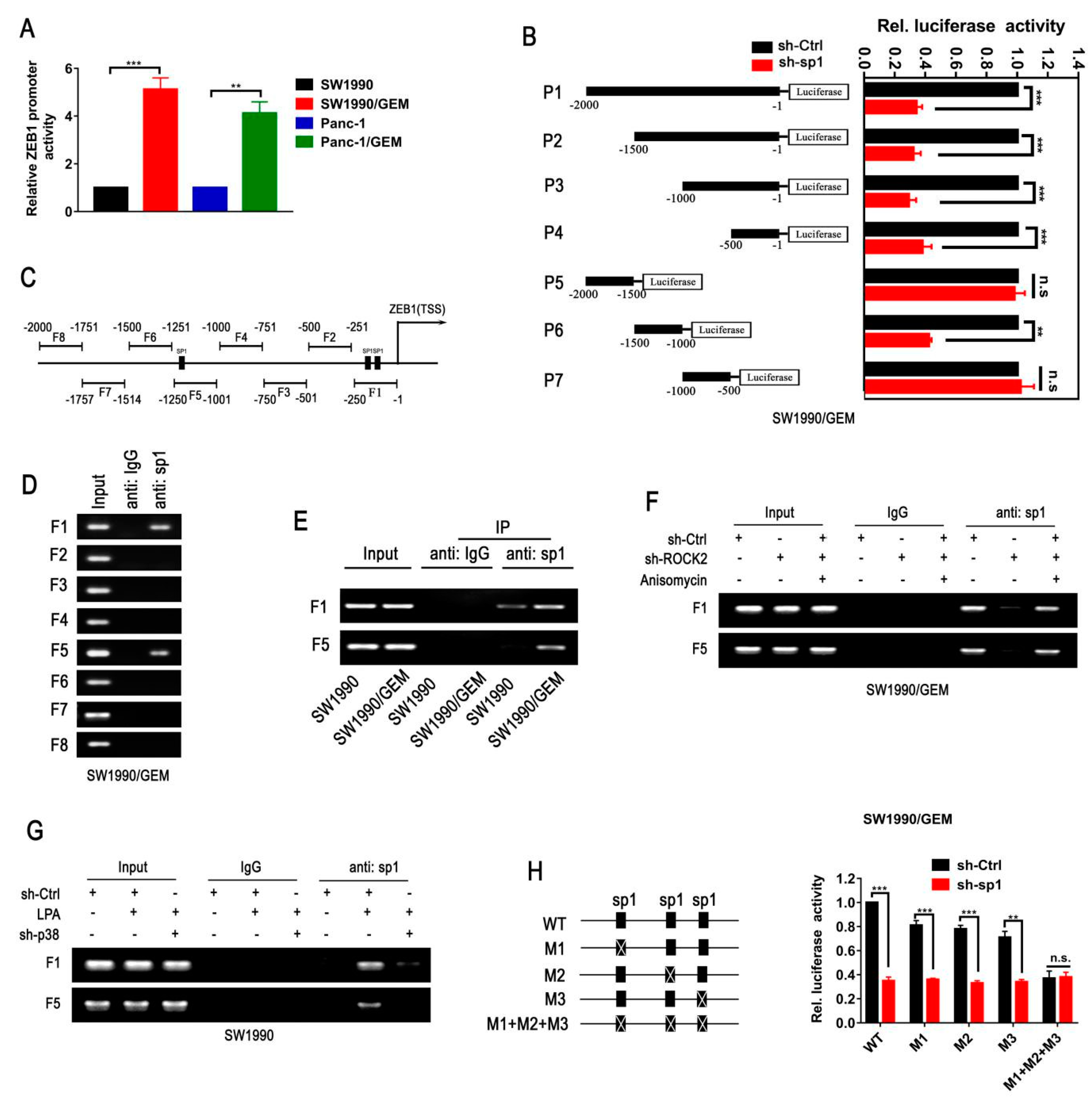 Cancers 11 01881 g006 Cancers 11 01881 g006