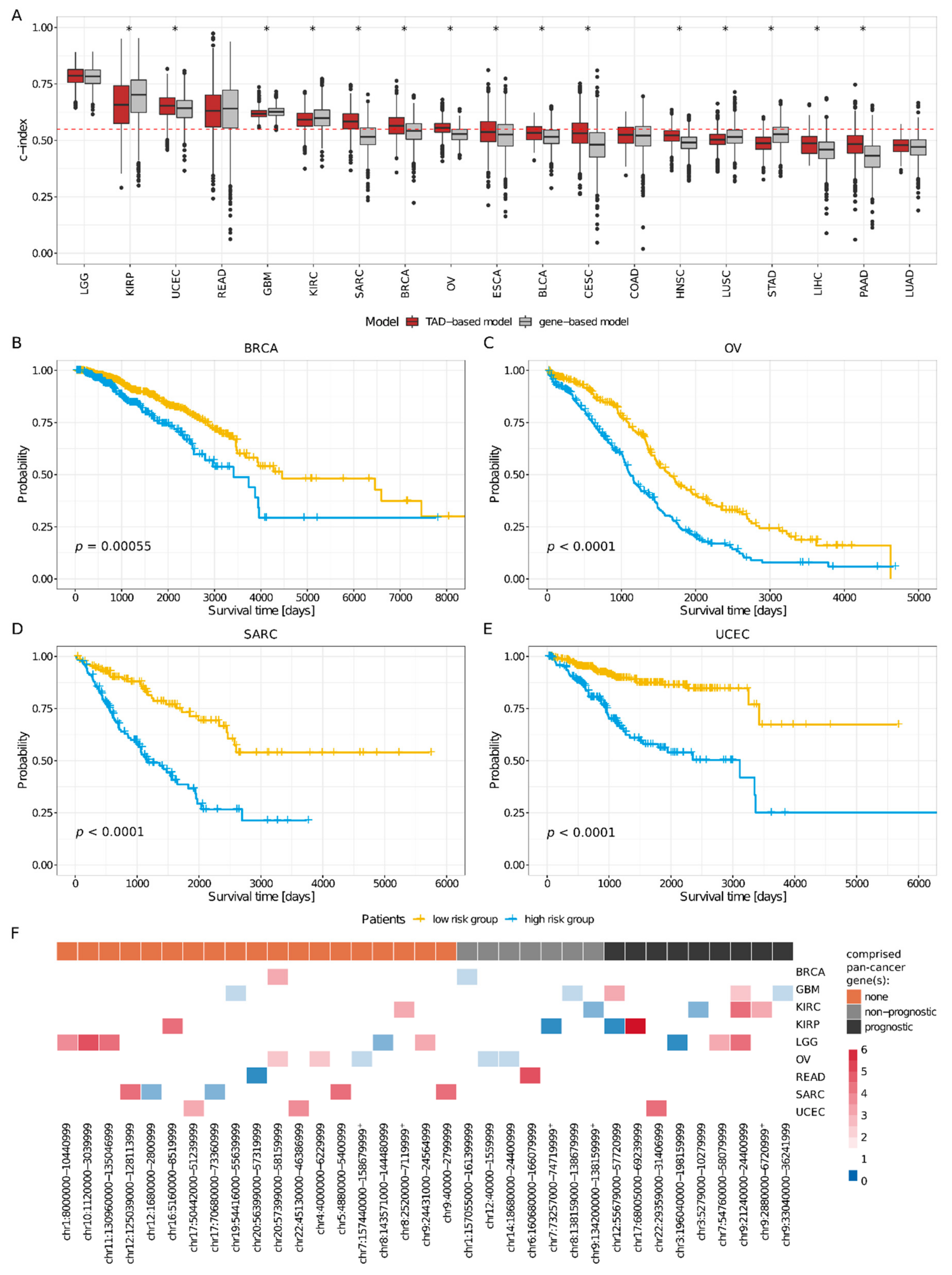 Cancers 11 01886 g003 Cancers 11 01886 g003