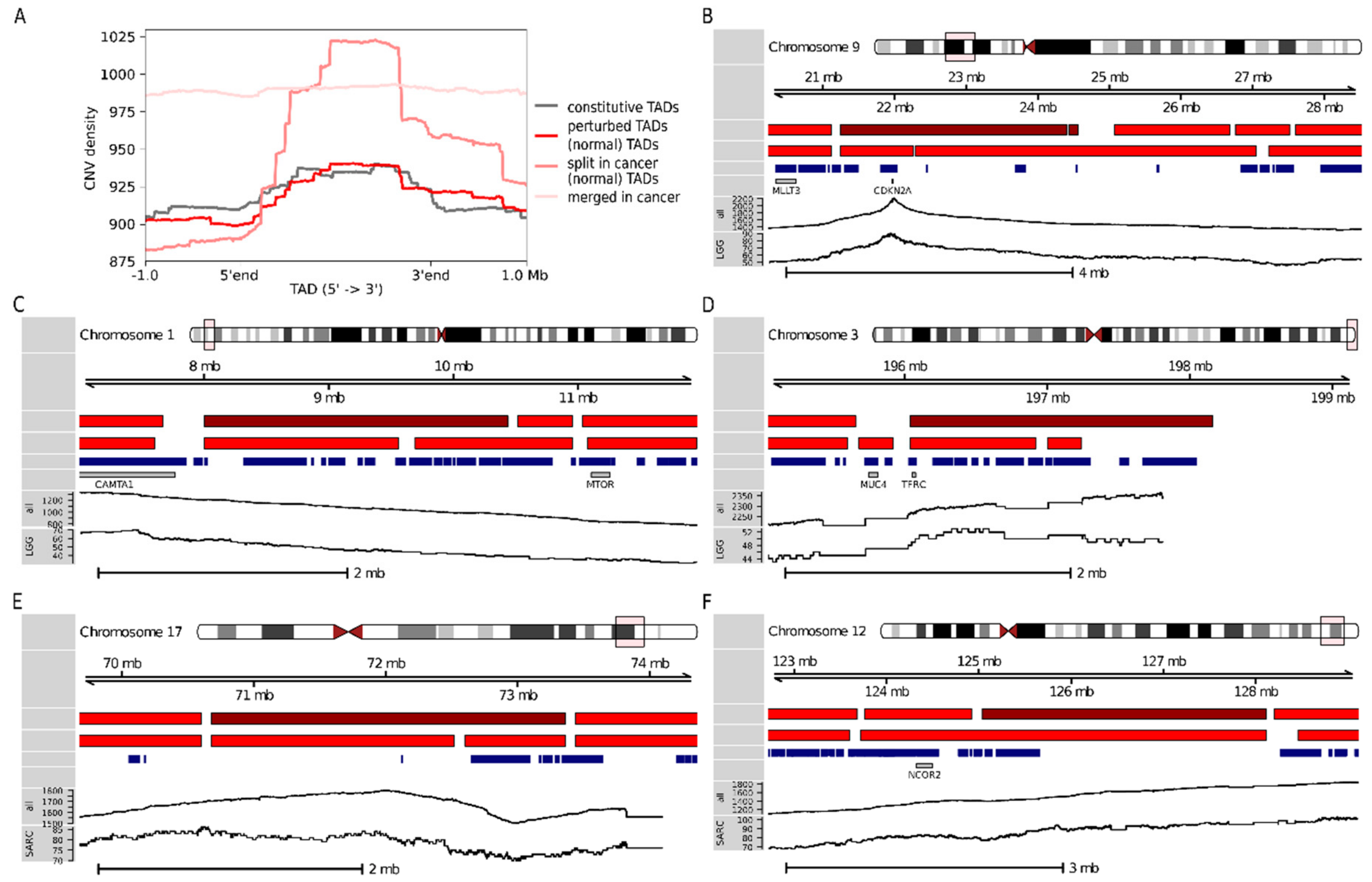 Cancers 11 01886 g005 Cancers 11 01886 g005