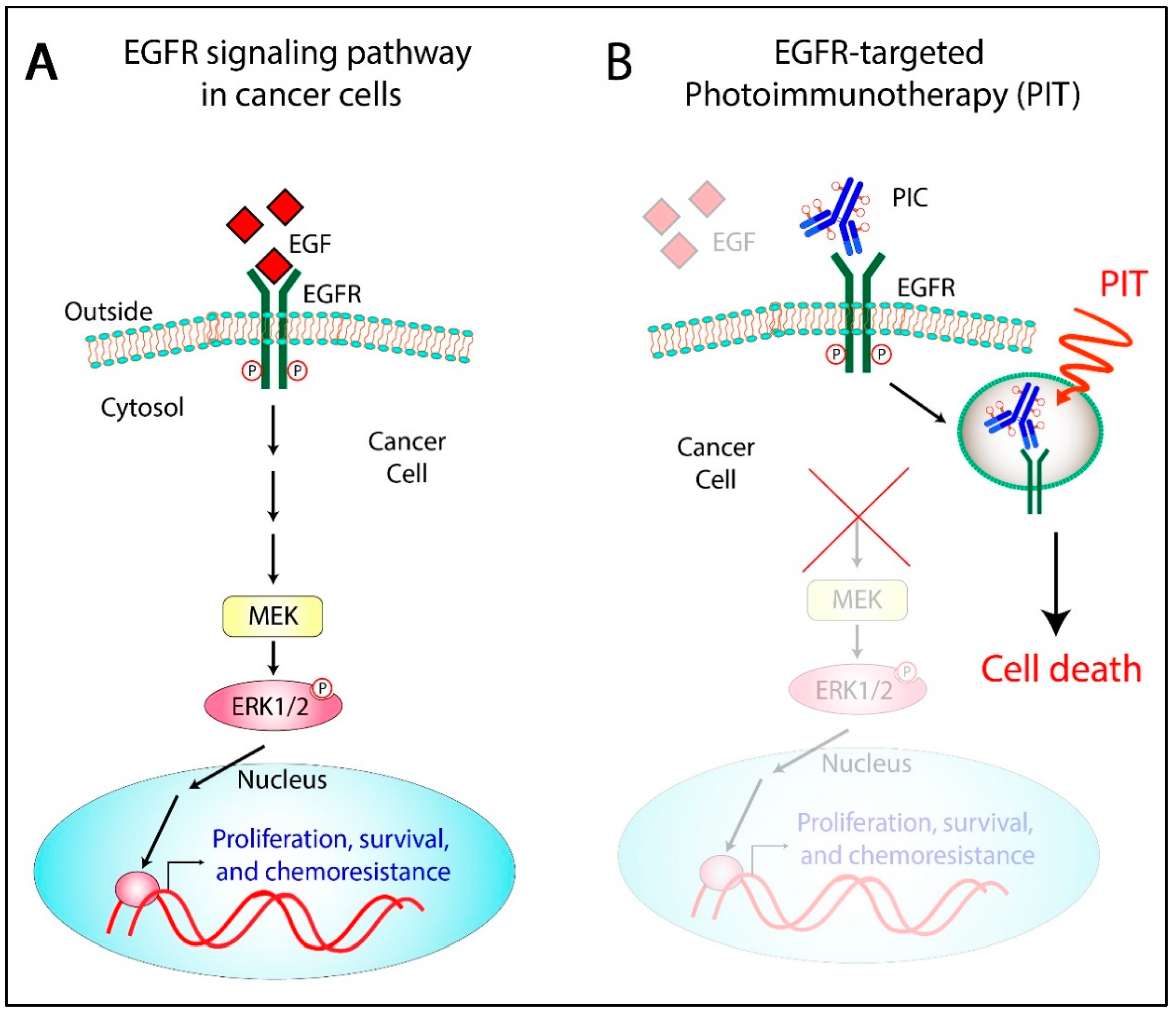 Cancers 11 01887 g006