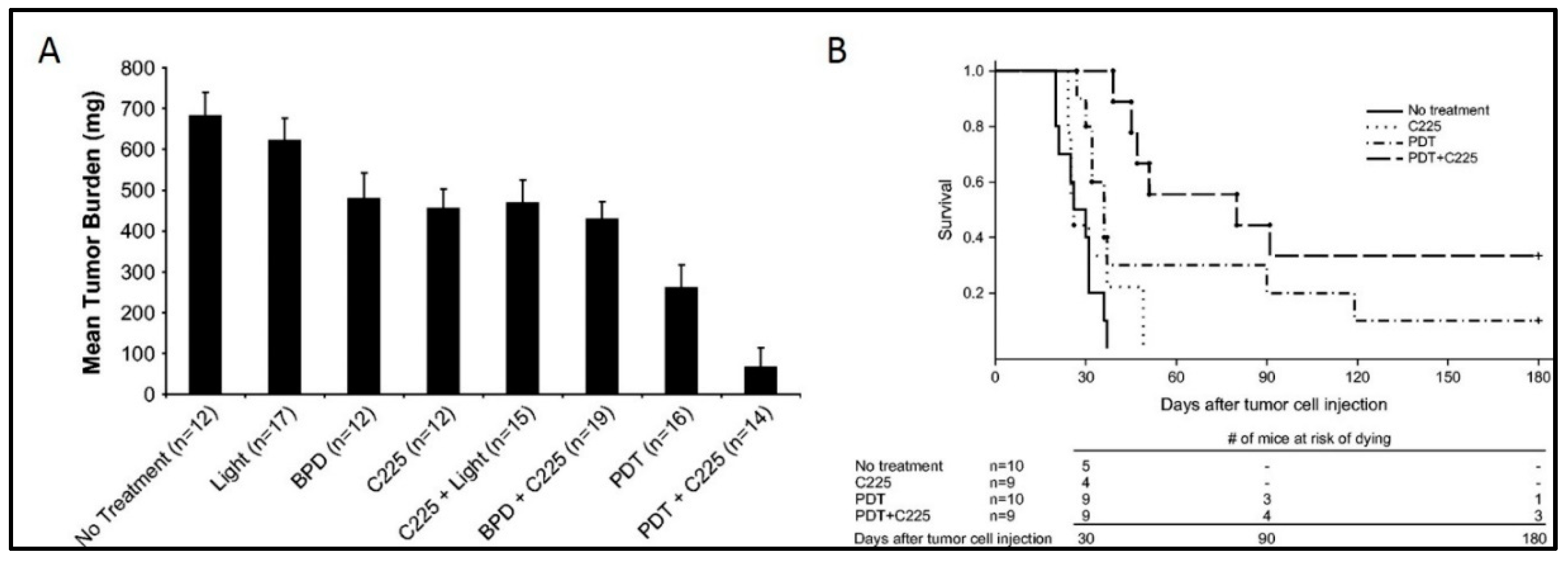 Cancers 11 01887 g007