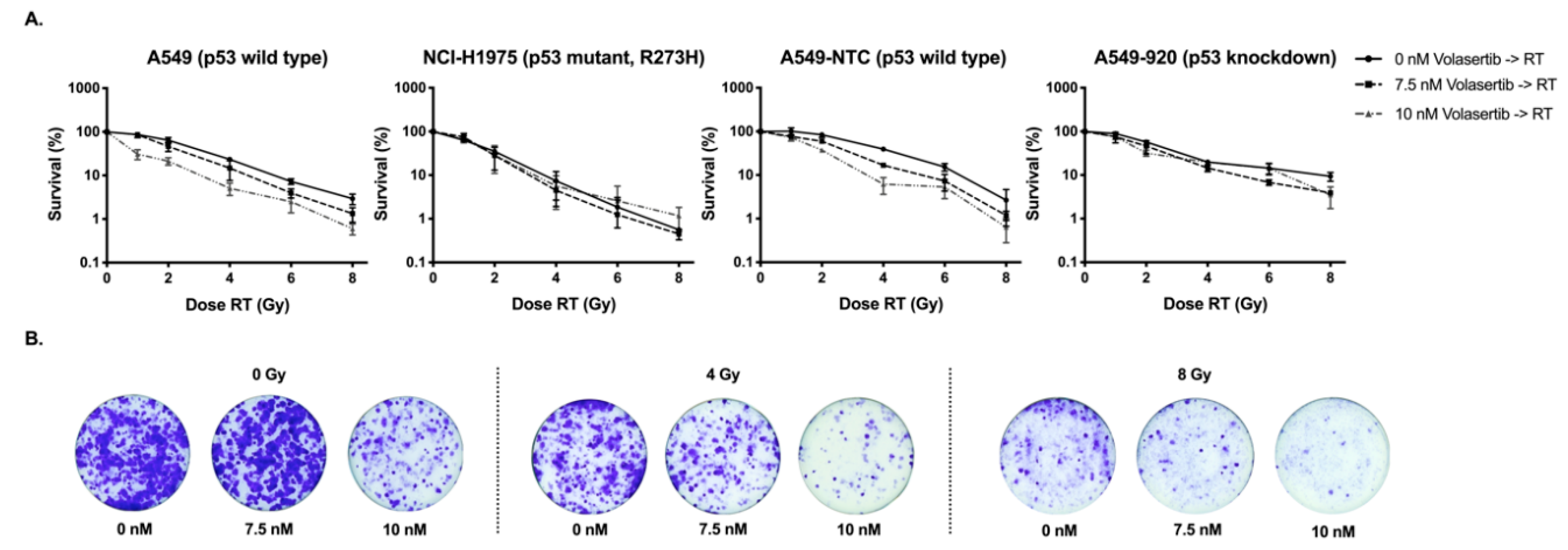 Cancers 11 01893 g001 Cancers 11 01893 g001