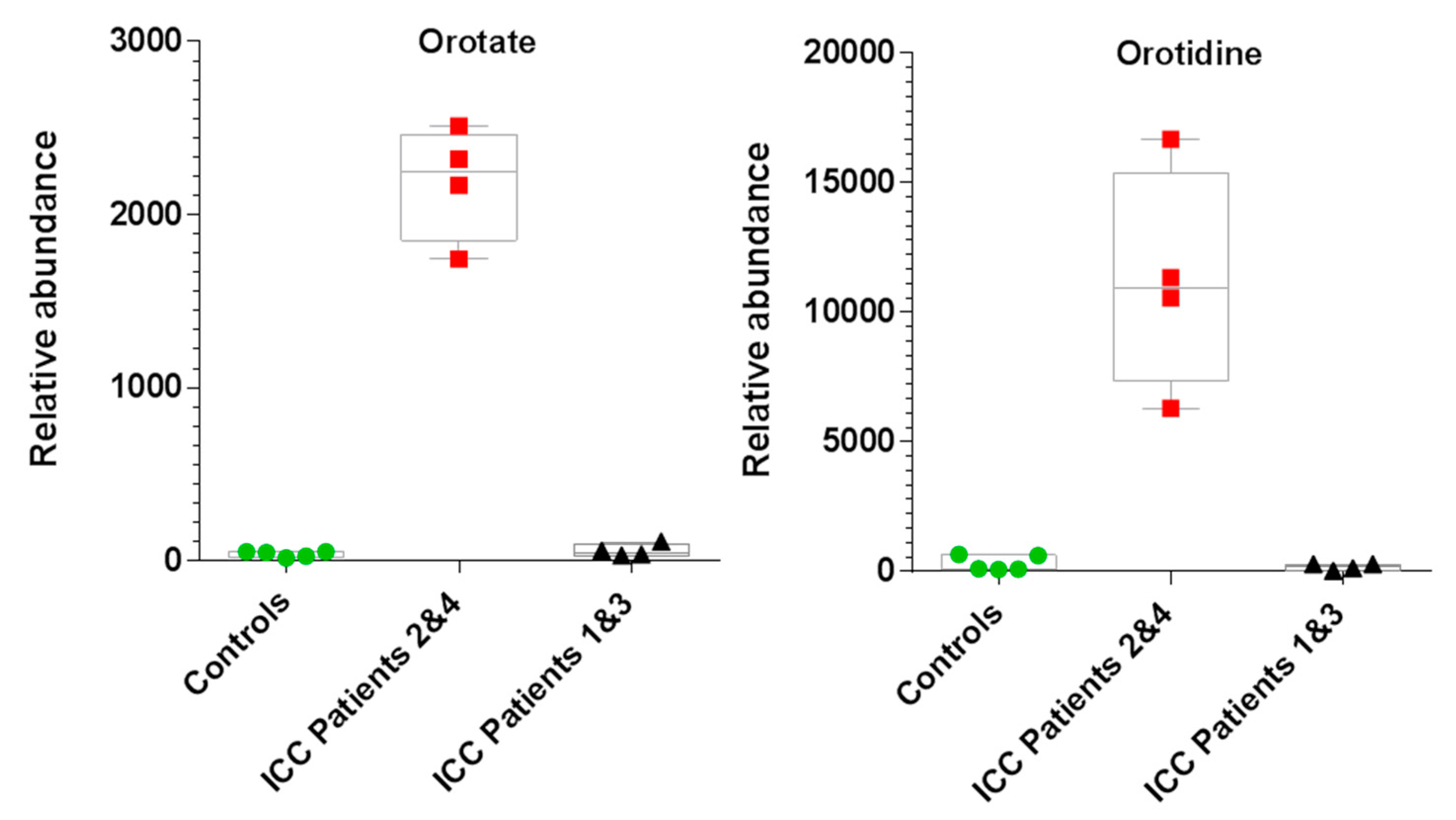 Cancers 11 01895 g003 Cancers 11 01895 g003