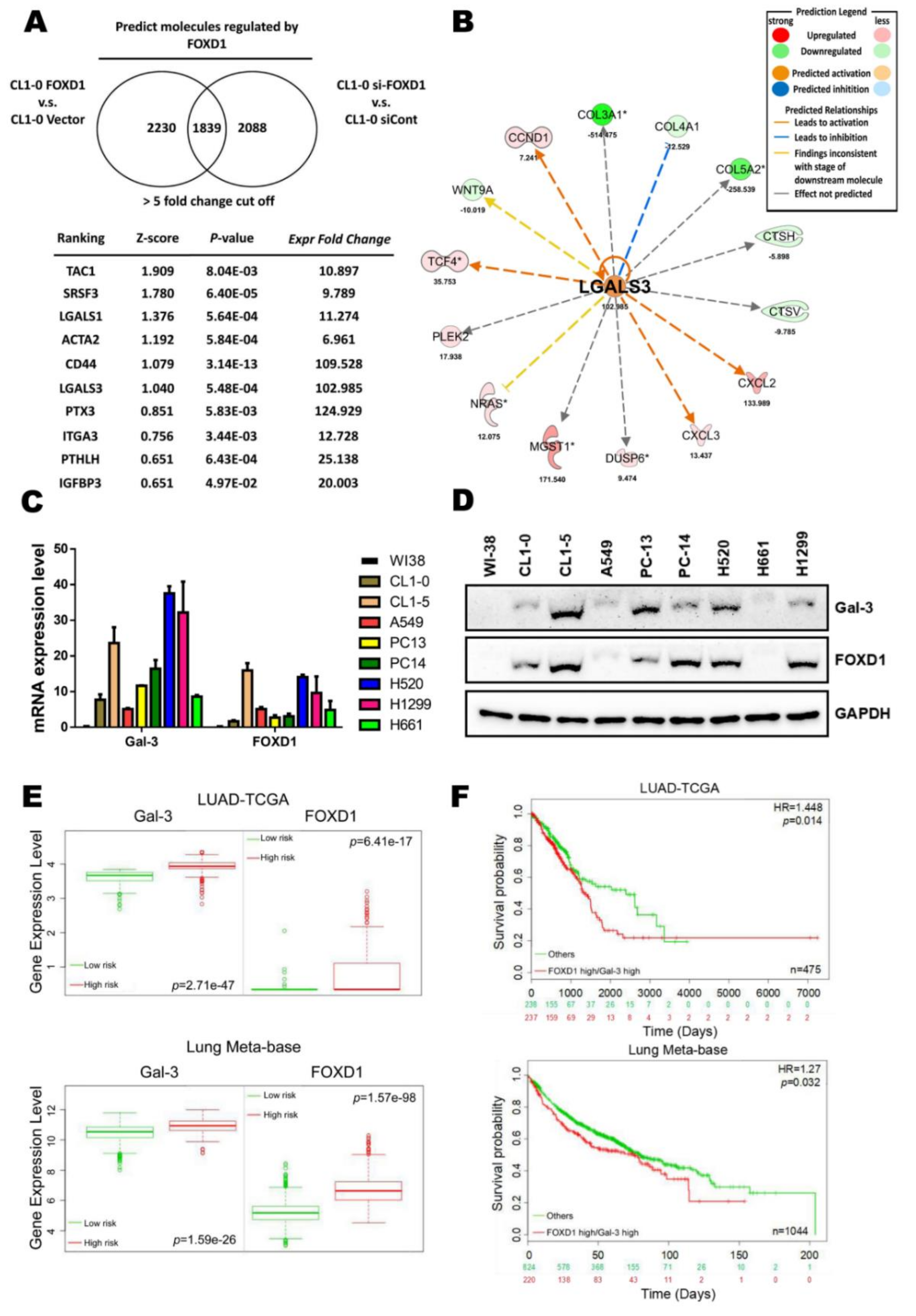 Cancers 11 01897 g001 Cancers 11 01897 g001