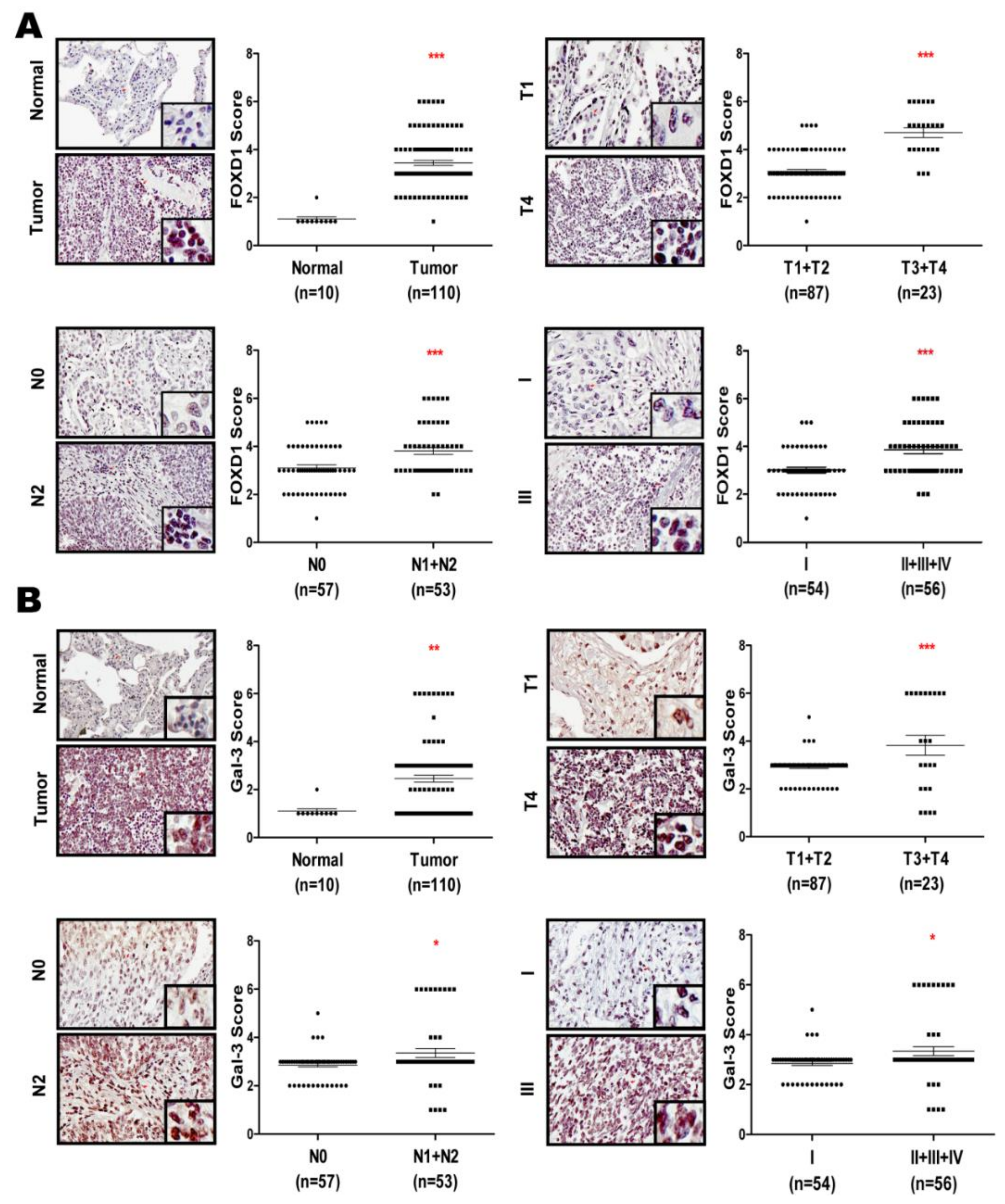 Cancers 11 01897 g006 Cancers 11 01897 g006