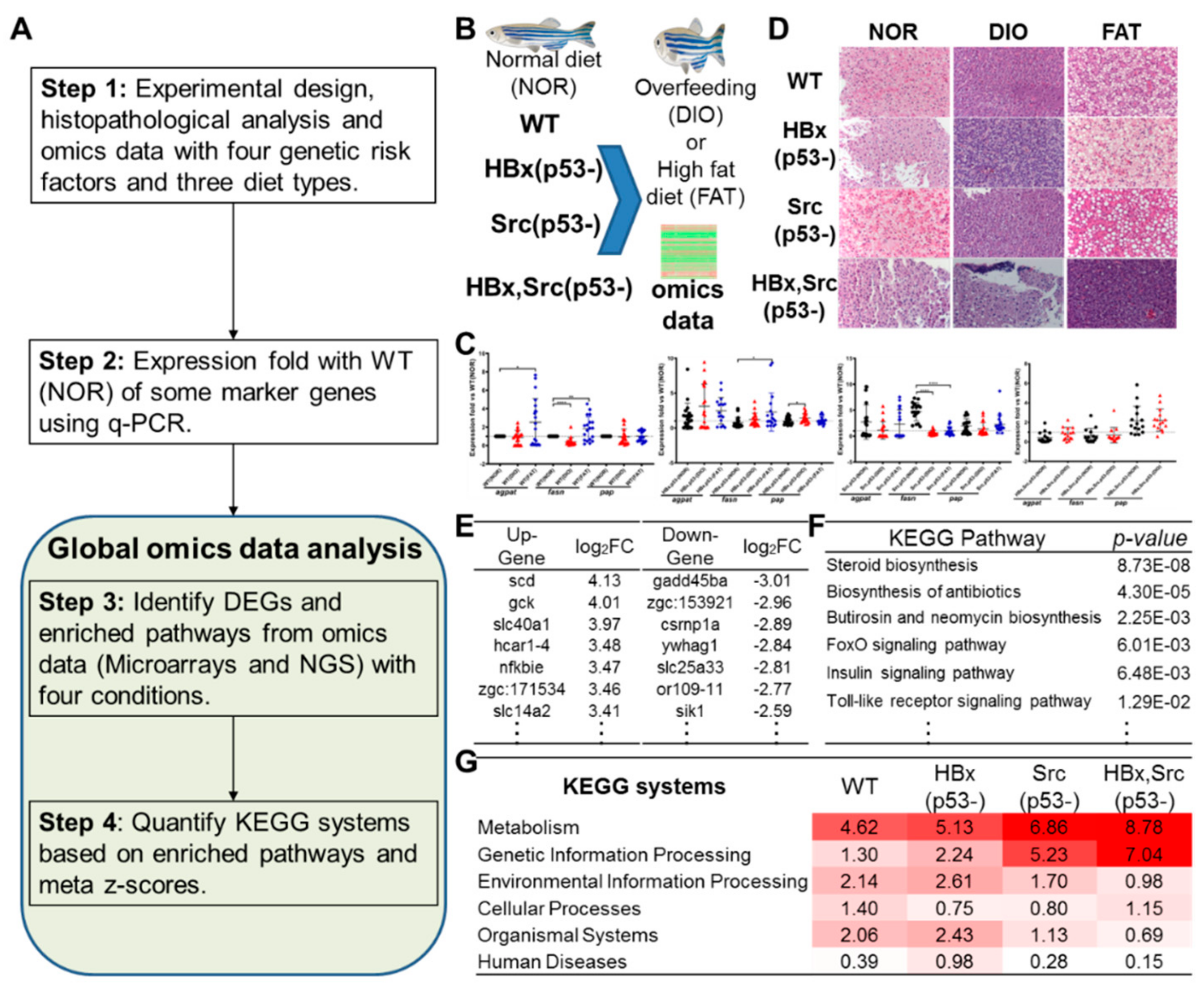 Cancers 11 01899 g001 Cancers 11 01899 g001