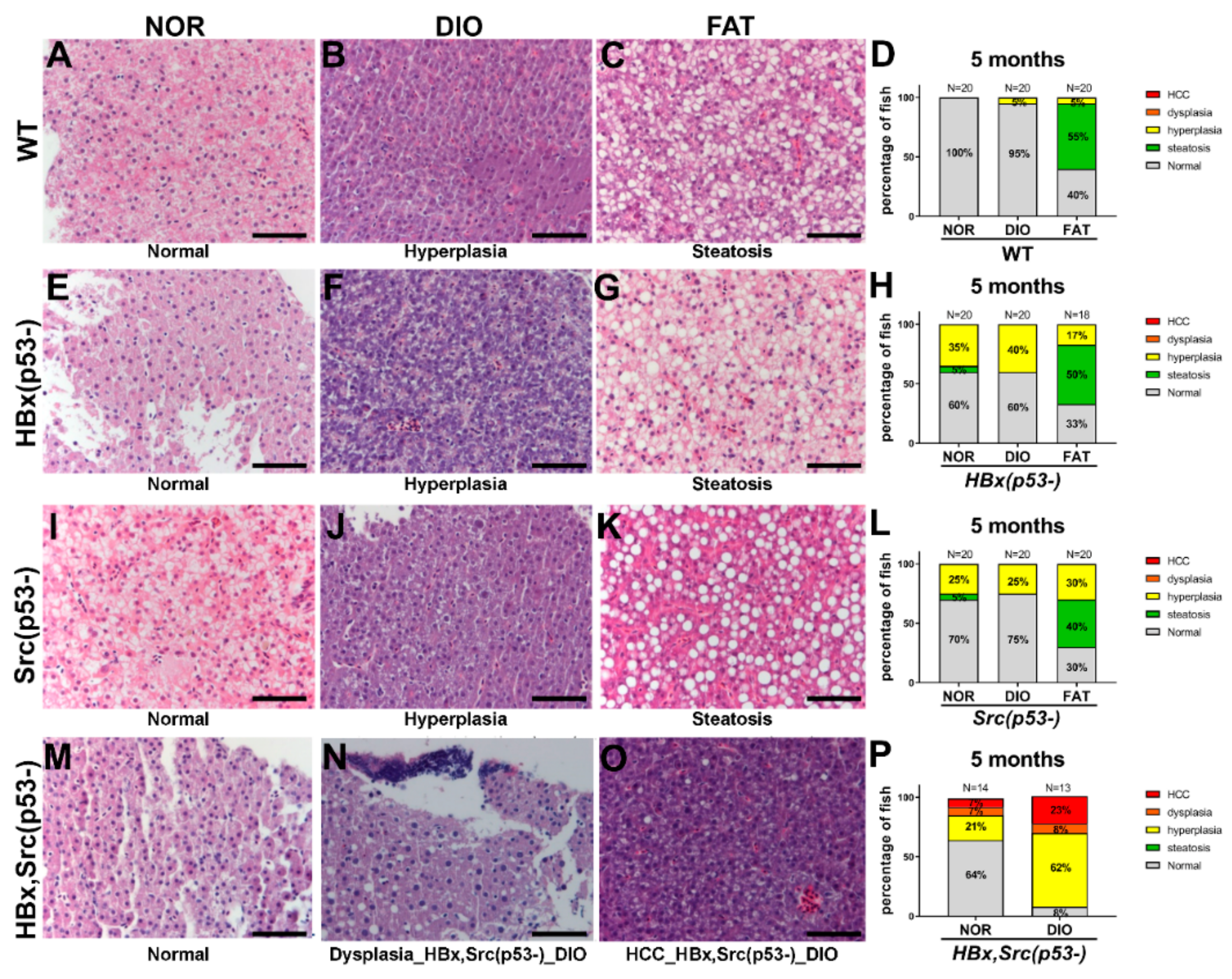 Cancers 11 01899 g003 Cancers 11 01899 g003