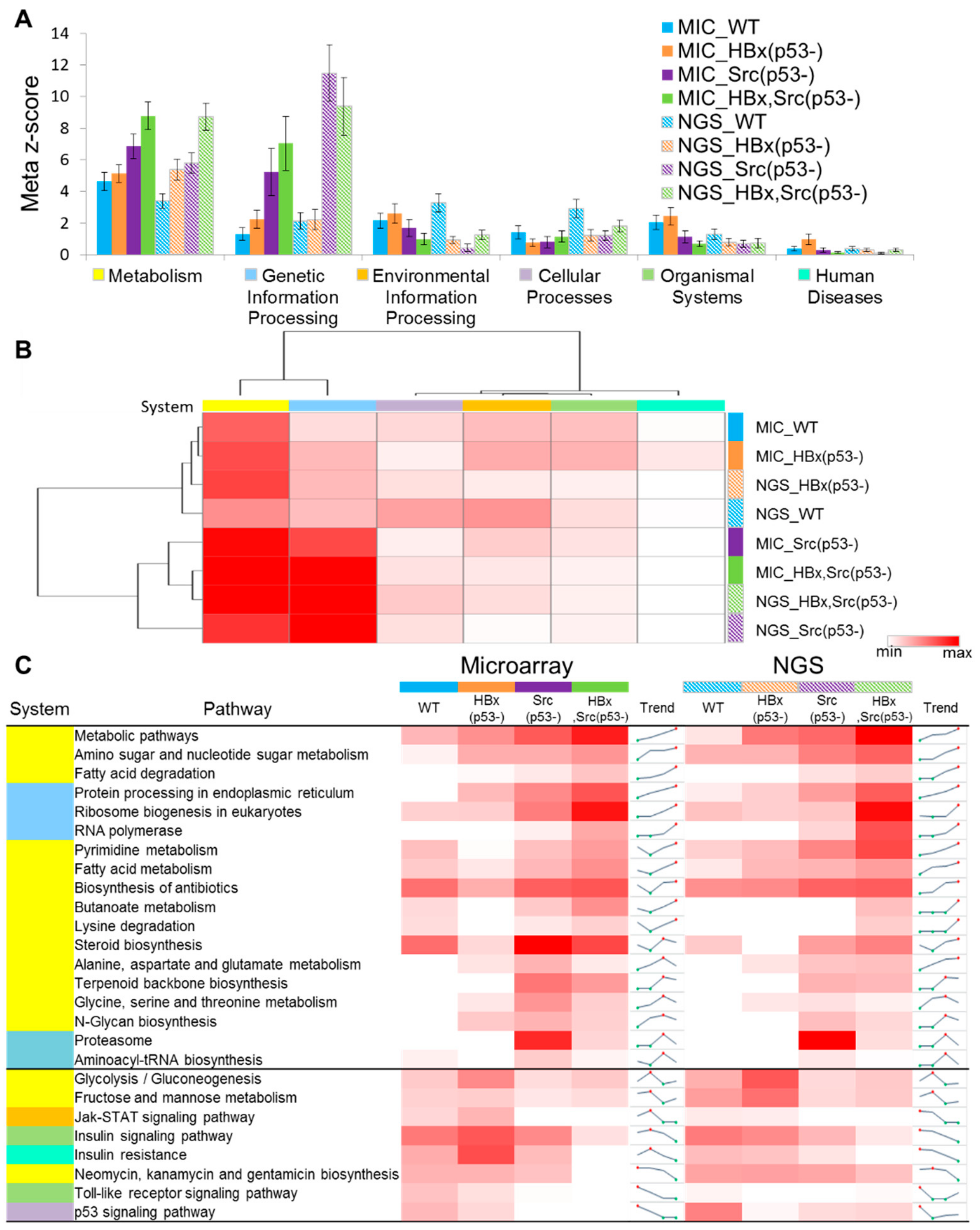Cancers 11 01899 g005 Cancers 11 01899 g005