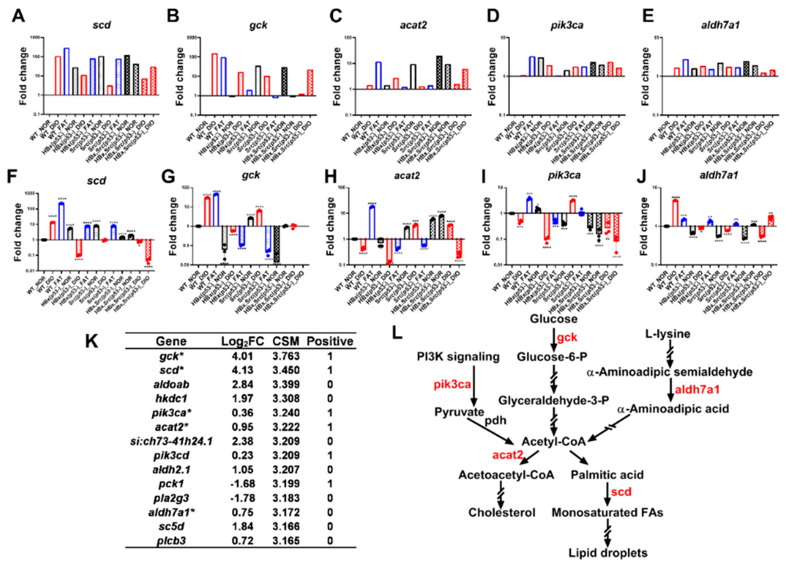 Cancers 11 01899 g007 Cancers 11 01899 g007