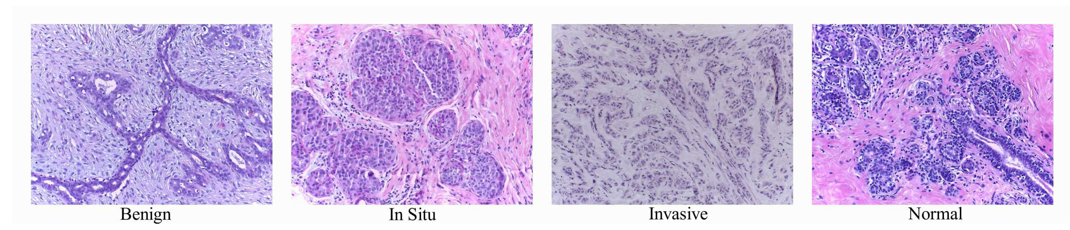 Cancers 11 01901 g001
