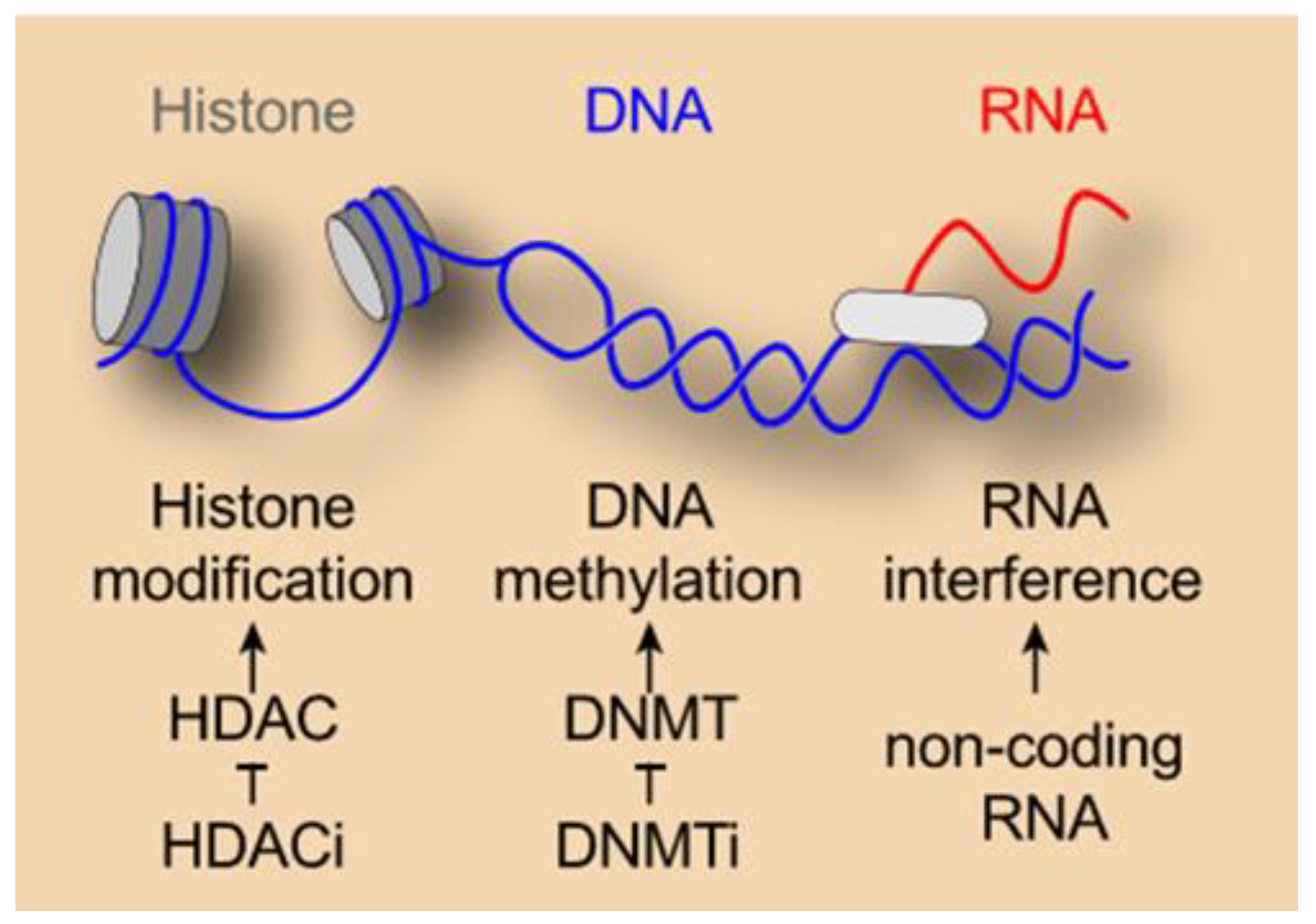 Cancers 11 01911 g001