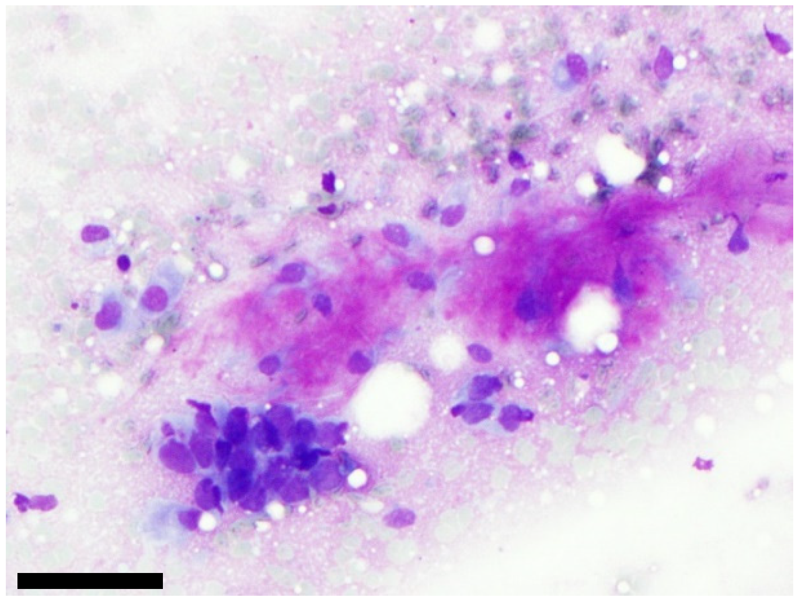 Cancers 11 01912 g002 550