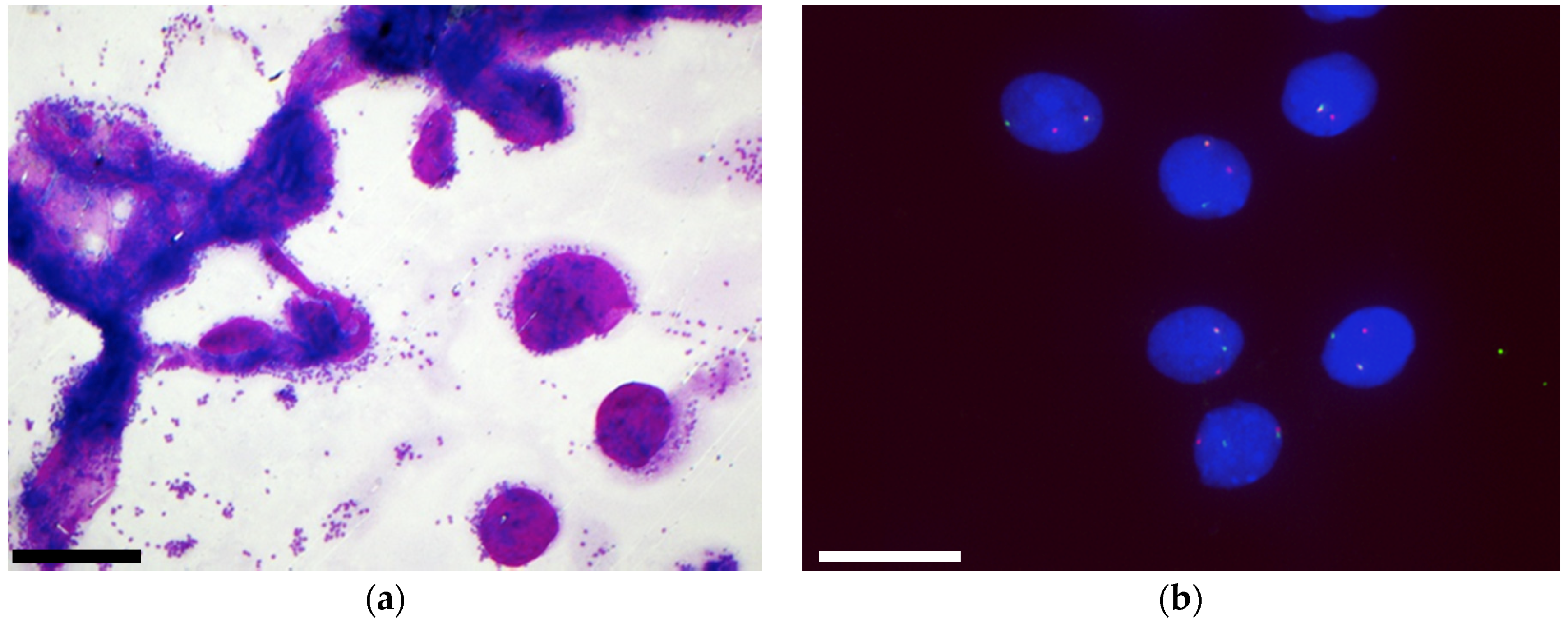 Cancers 11 01912 g005 550