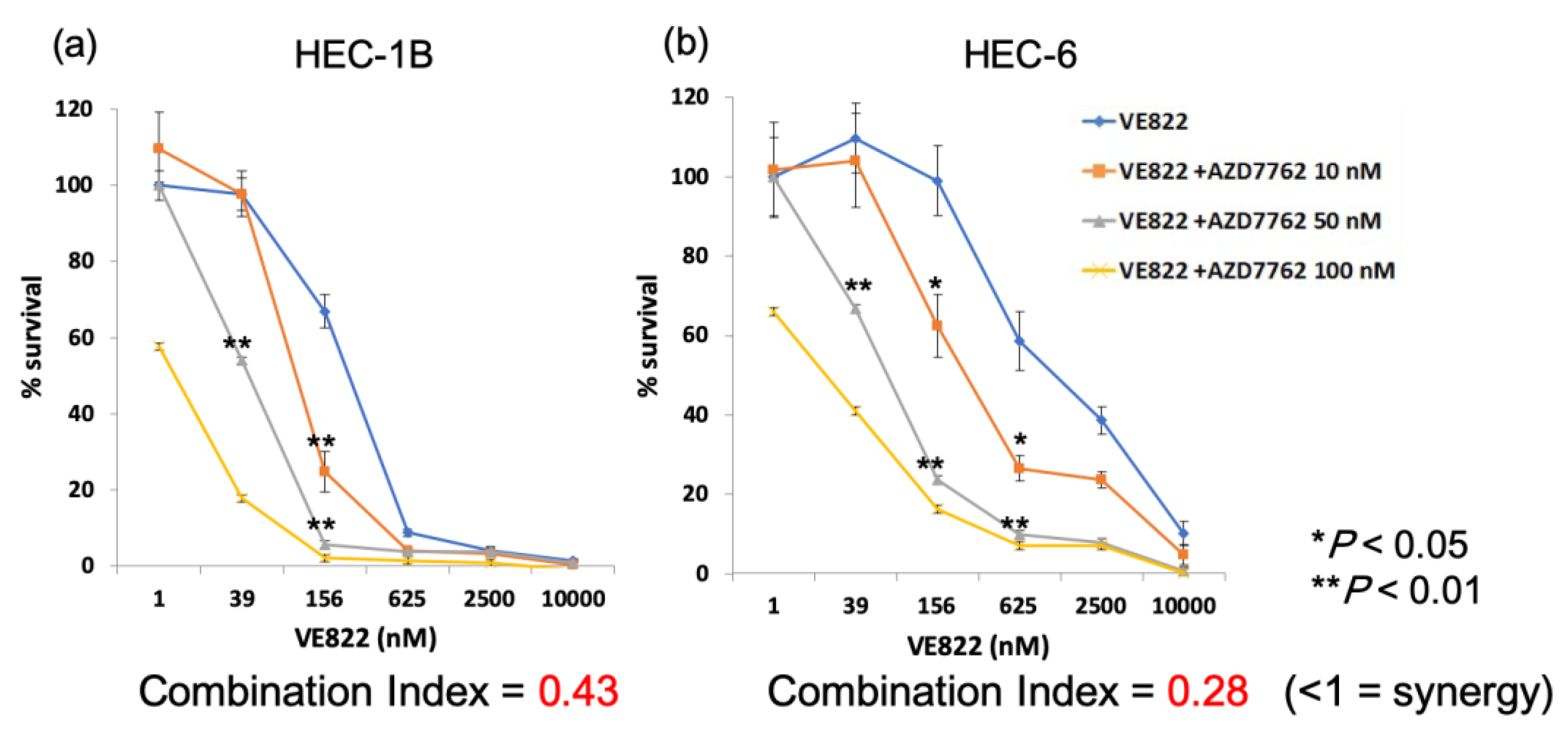 Cancers 11 01913 g007 Cancers 11 01913 g007