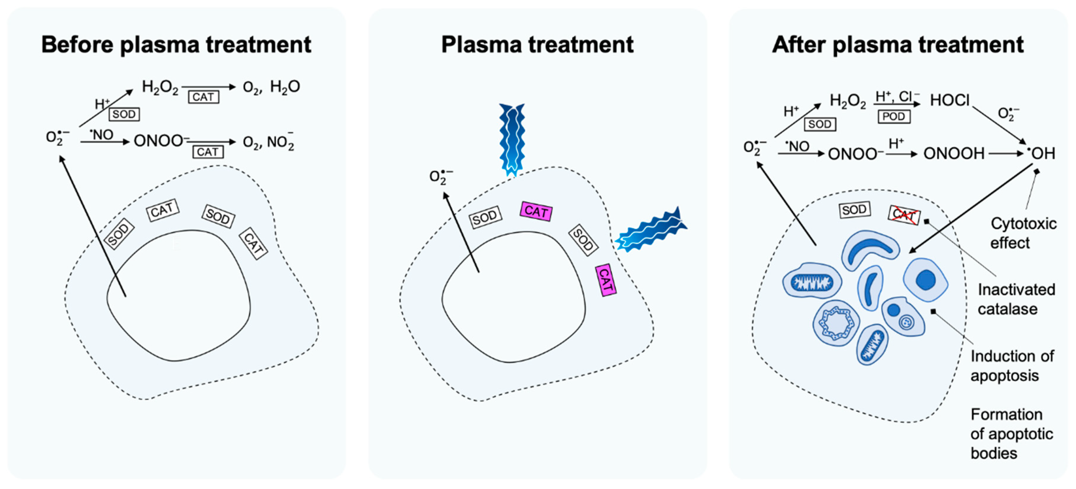 Cancers Free Full Text Modifying The Tumour Microenvironment