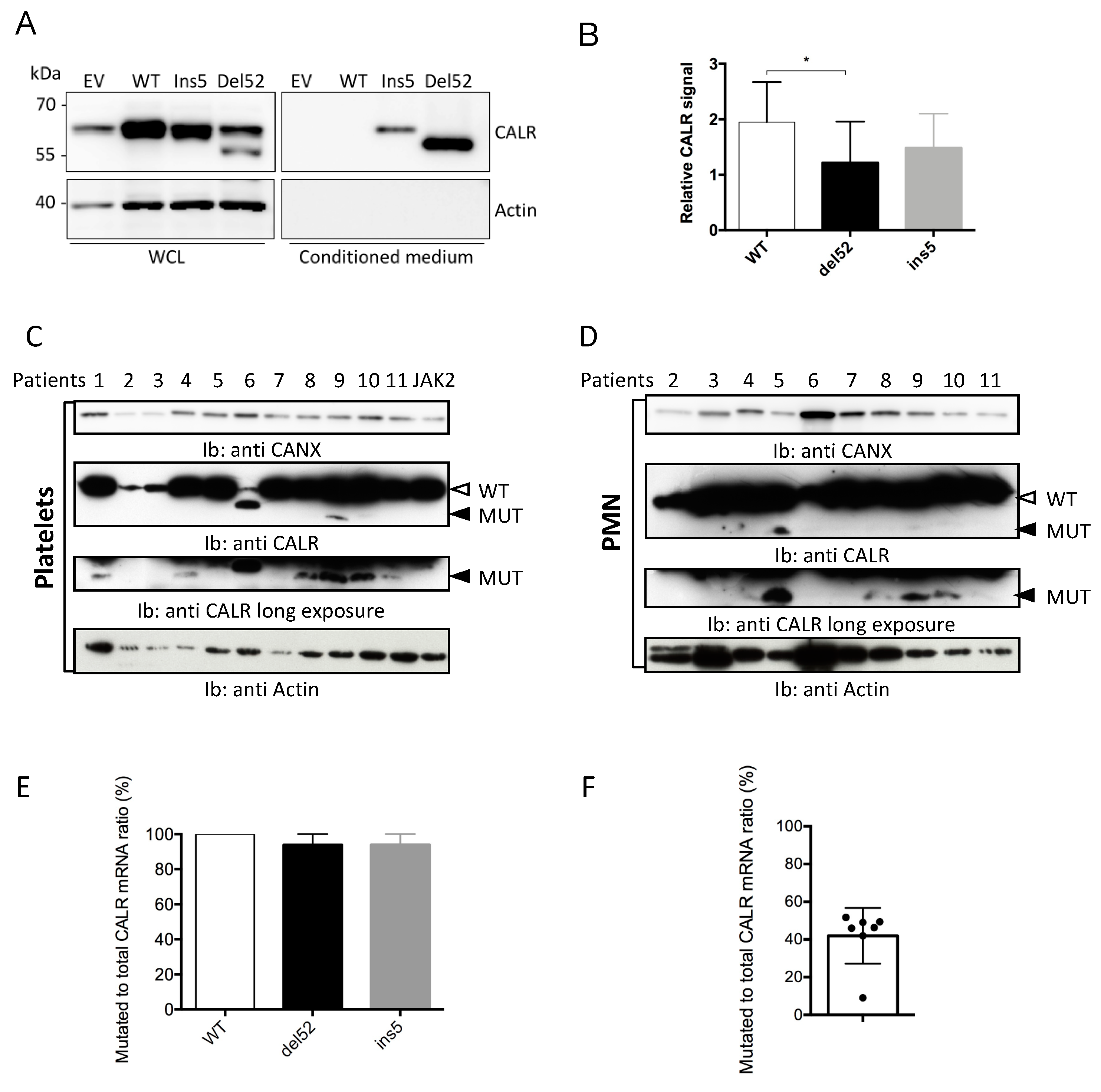 Cancers 11 01921 g001 Cancers 11 01921 g001
