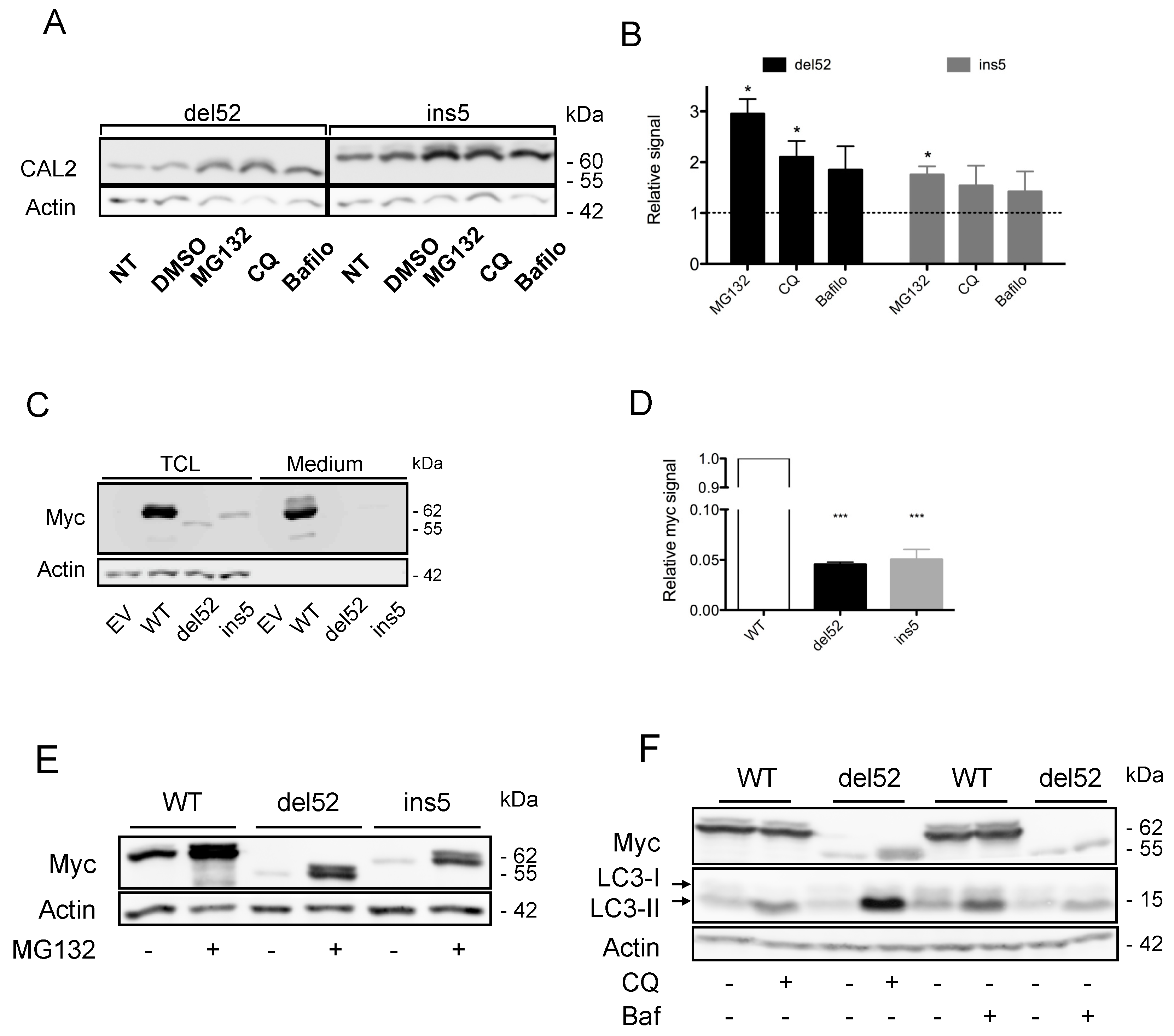 Cancers 11 01921 g002 Cancers 11 01921 g002