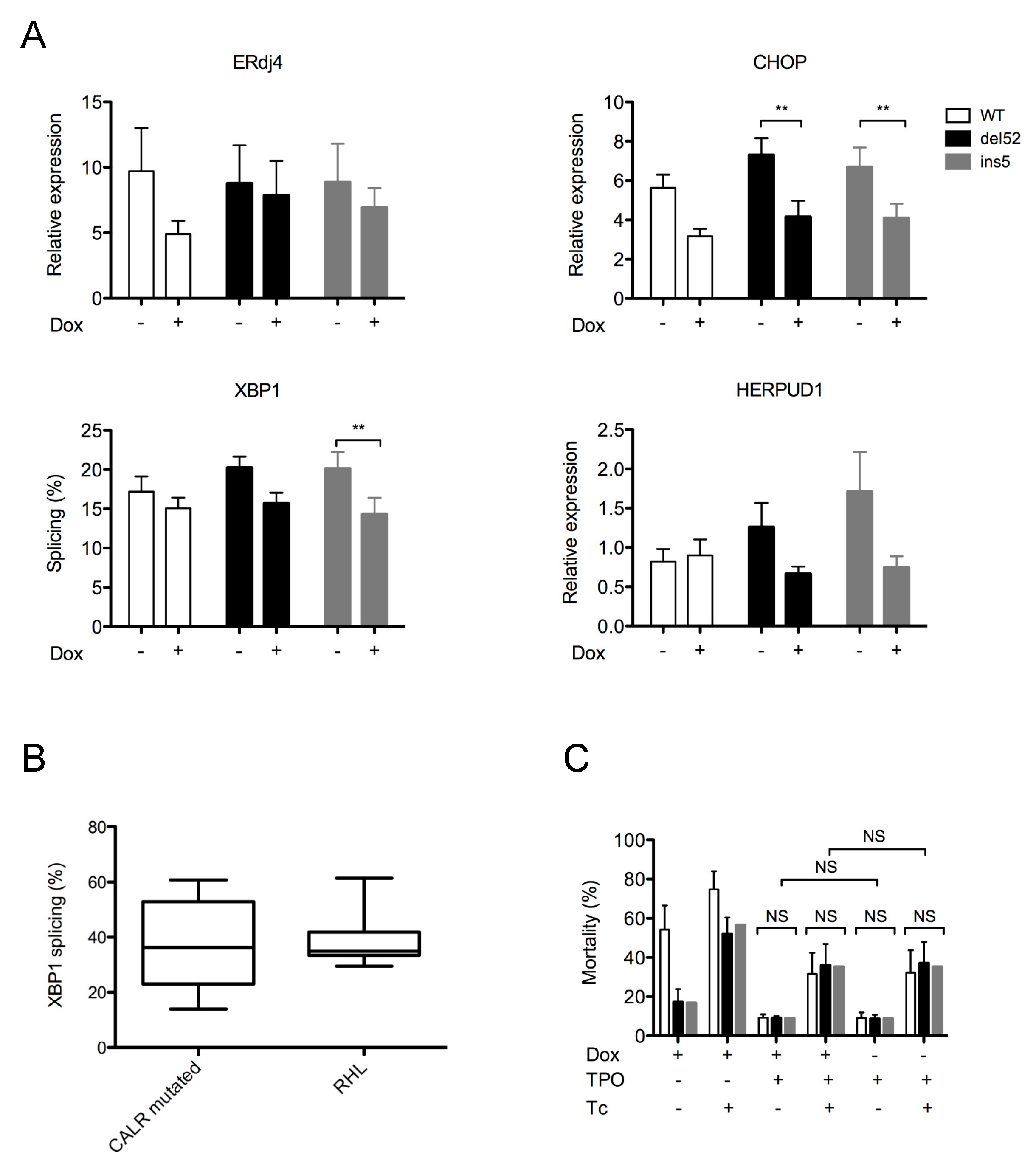 Cancers Free Full Text The Expression Of Myeloproliferative