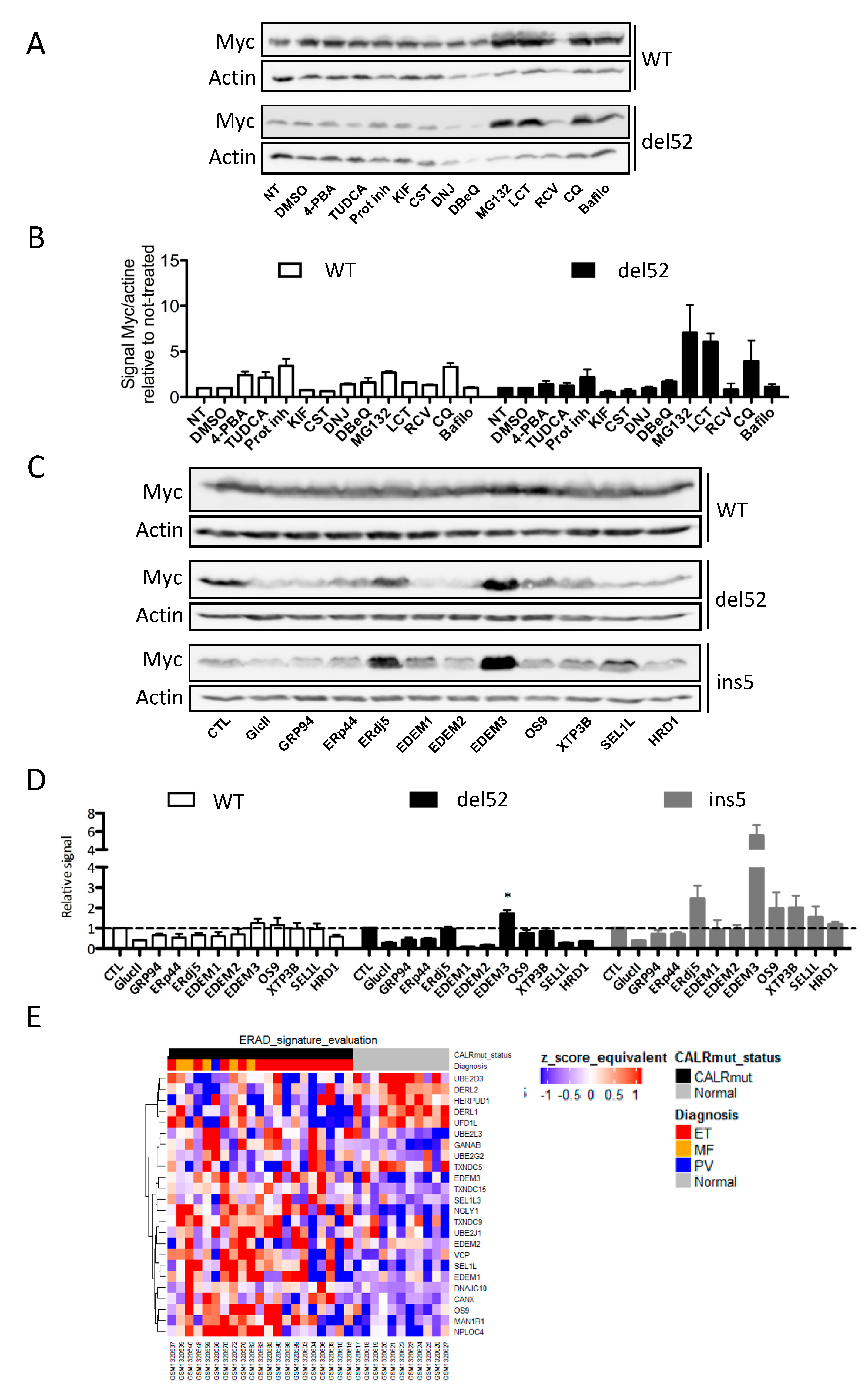 Cancers 11 01921 g005 Cancers 11 01921 g005