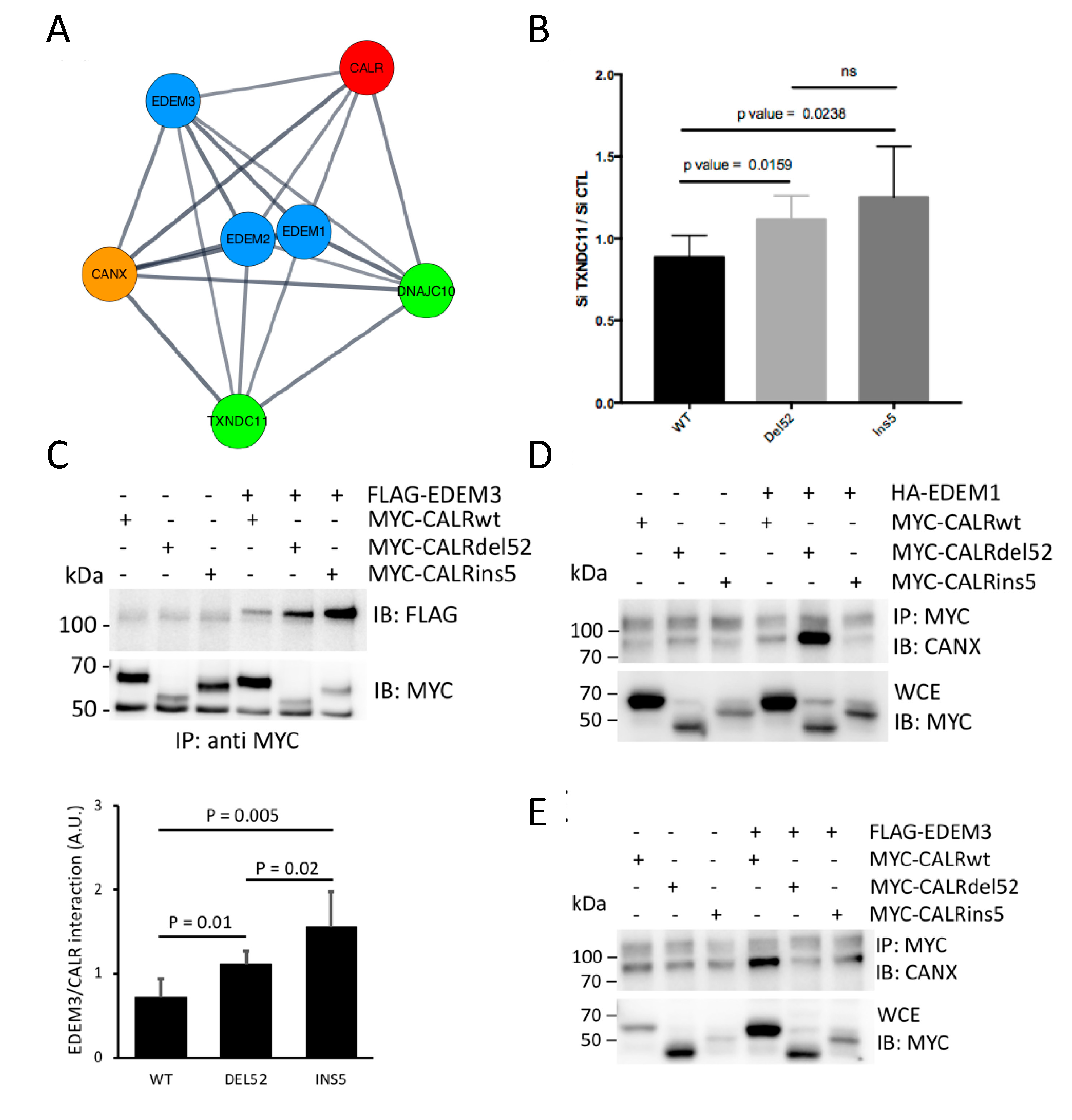 Cancers 11 01921 g006 Cancers 11 01921 g006