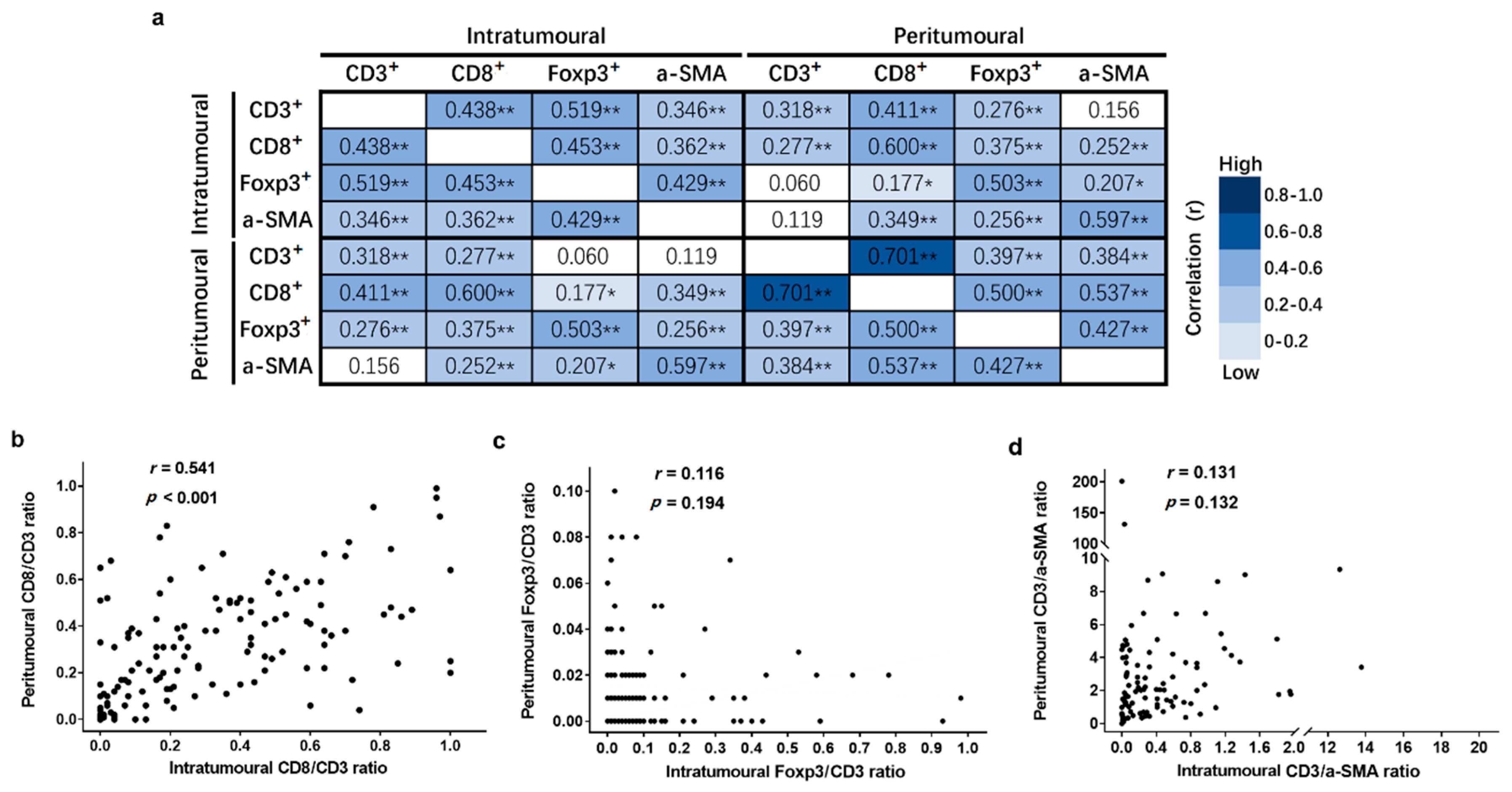 Cancers 11 01922 g005 Cancers 11 01922 g005