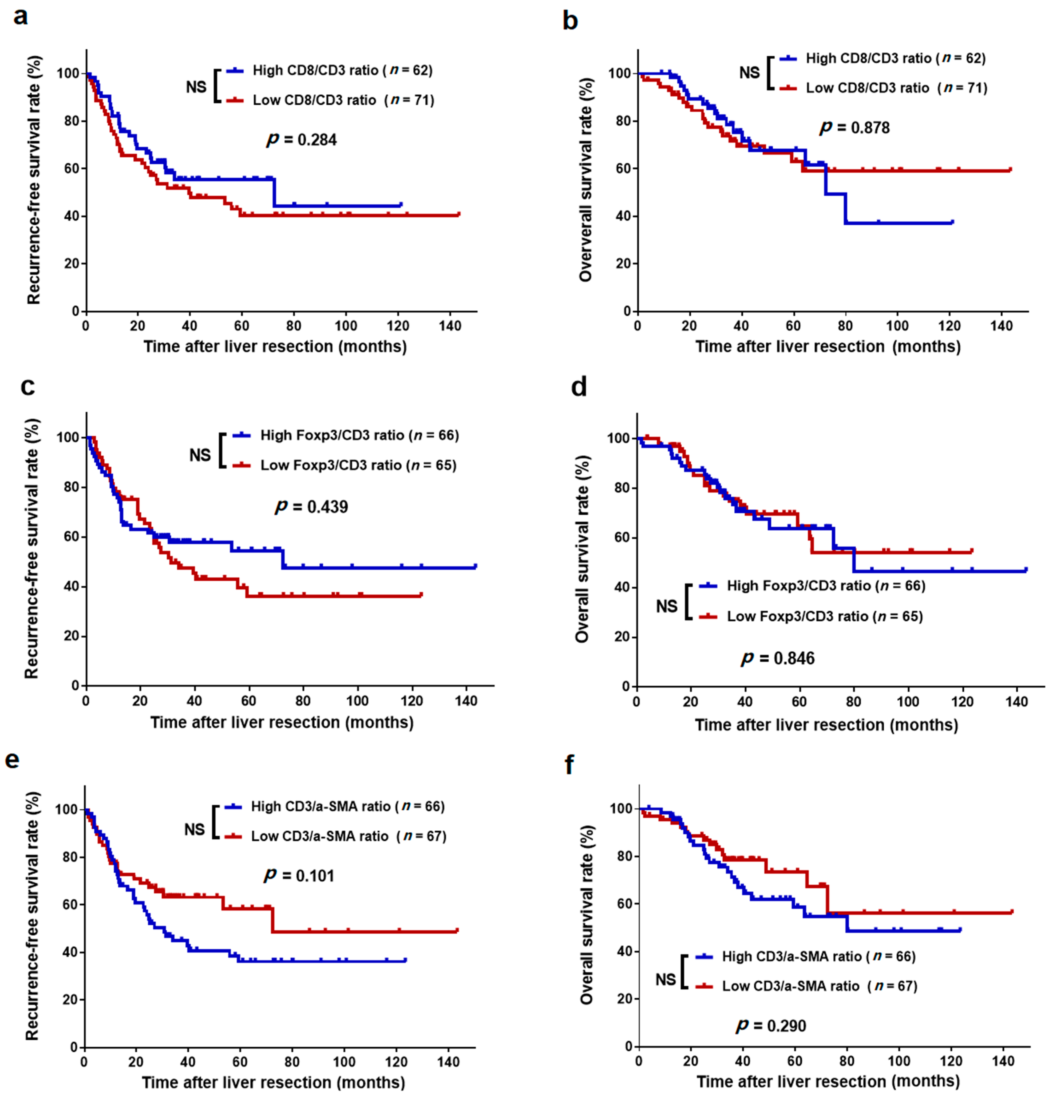 Cancers 11 01922 g007 Cancers 11 01922 g007