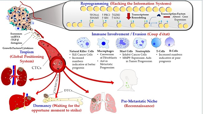 prostate cancer metastasis sites)