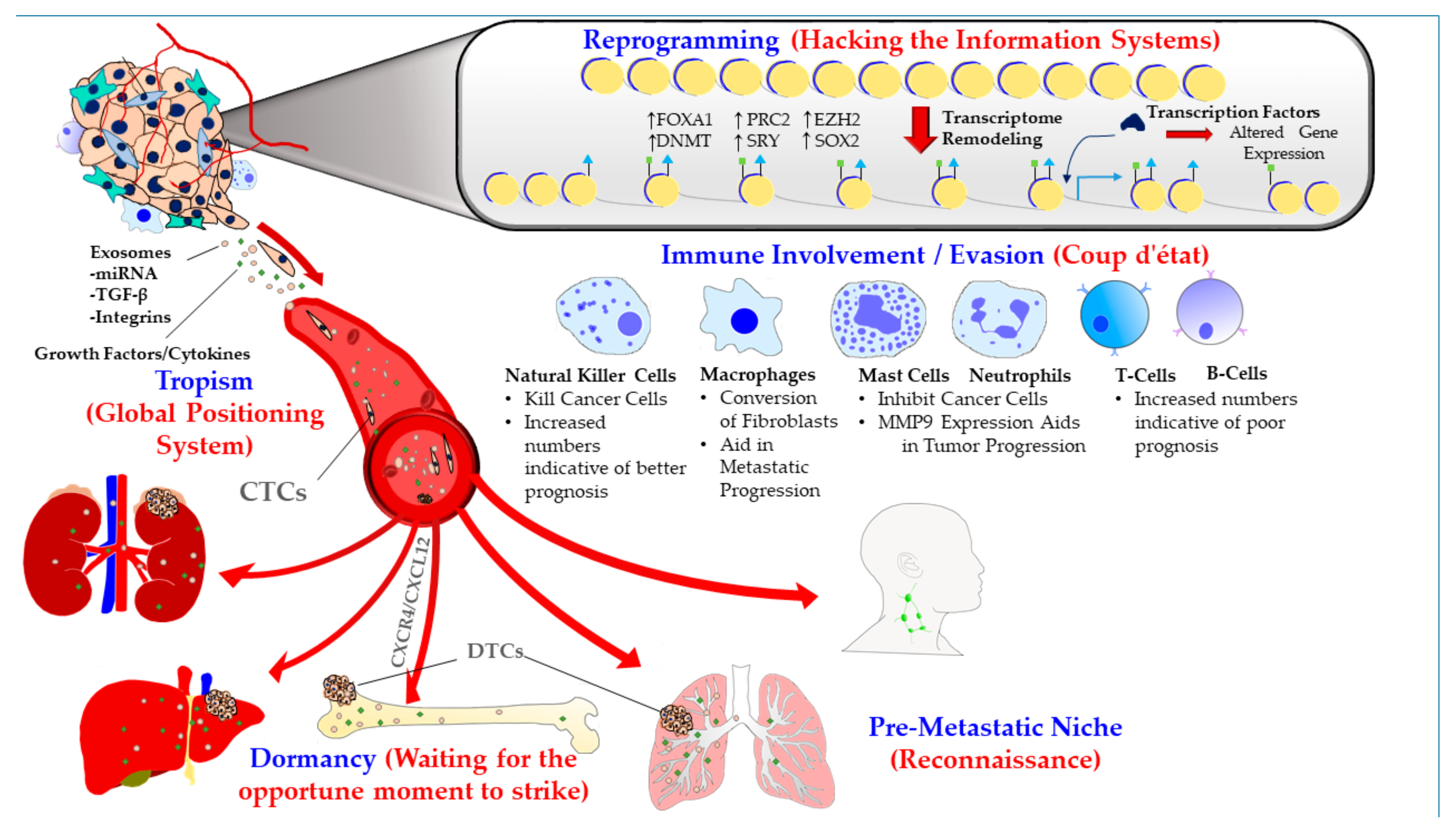 tumor prostate metastaze