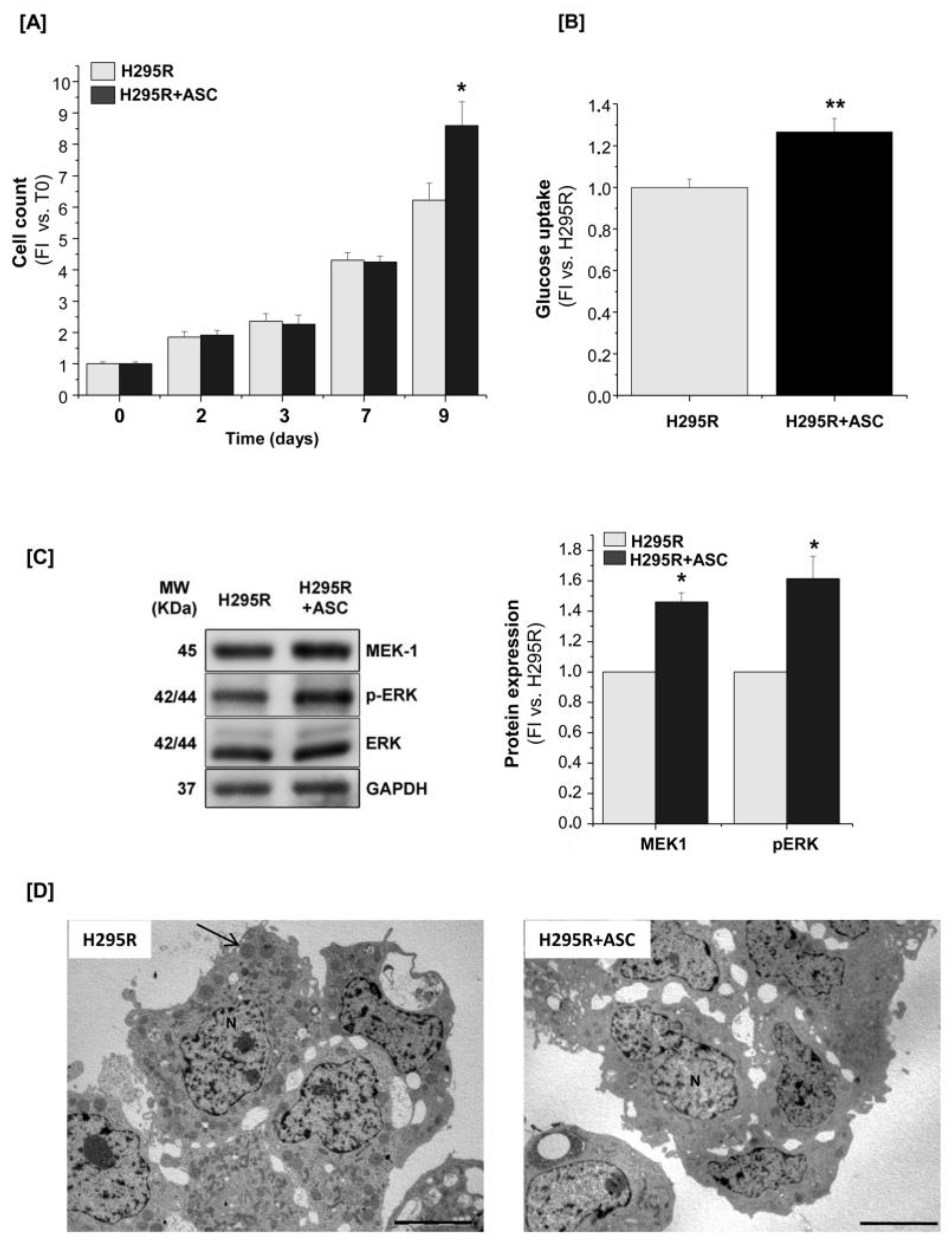 Cancers 11 01931 g005 Cancers 11 01931 g005