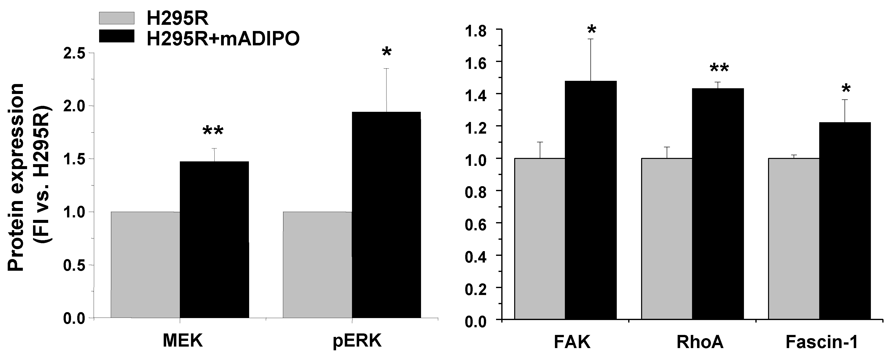 Cancers 11 01931 g008 Cancers 11 01931 g008