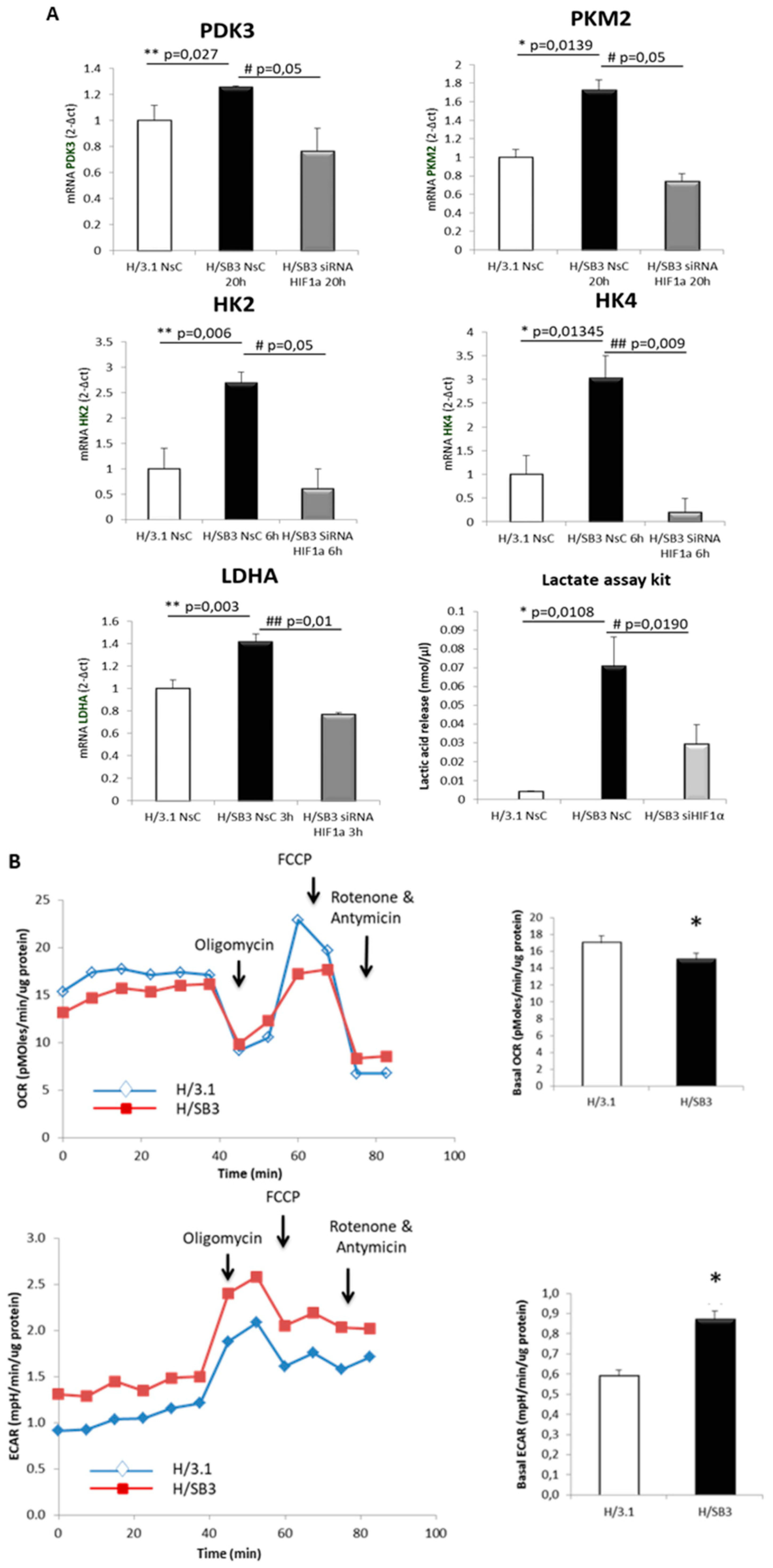 Cancers 11 01933 g006a Cancers 11 01933 g006a